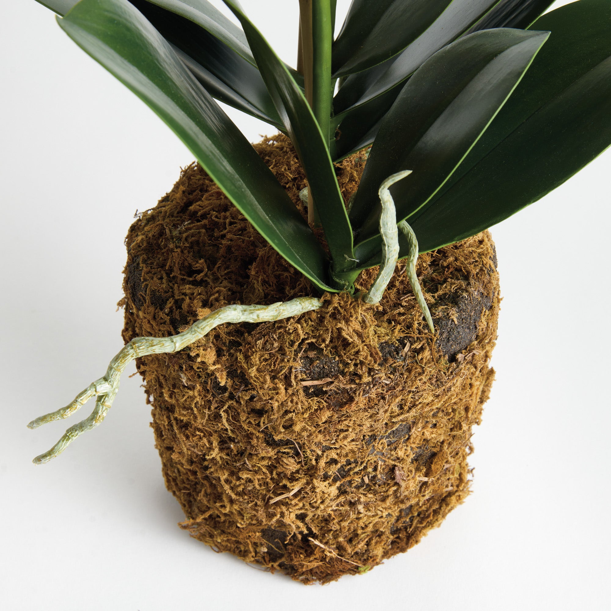 Phalaenopsis Orchid 23in Drop-In Faux Plant