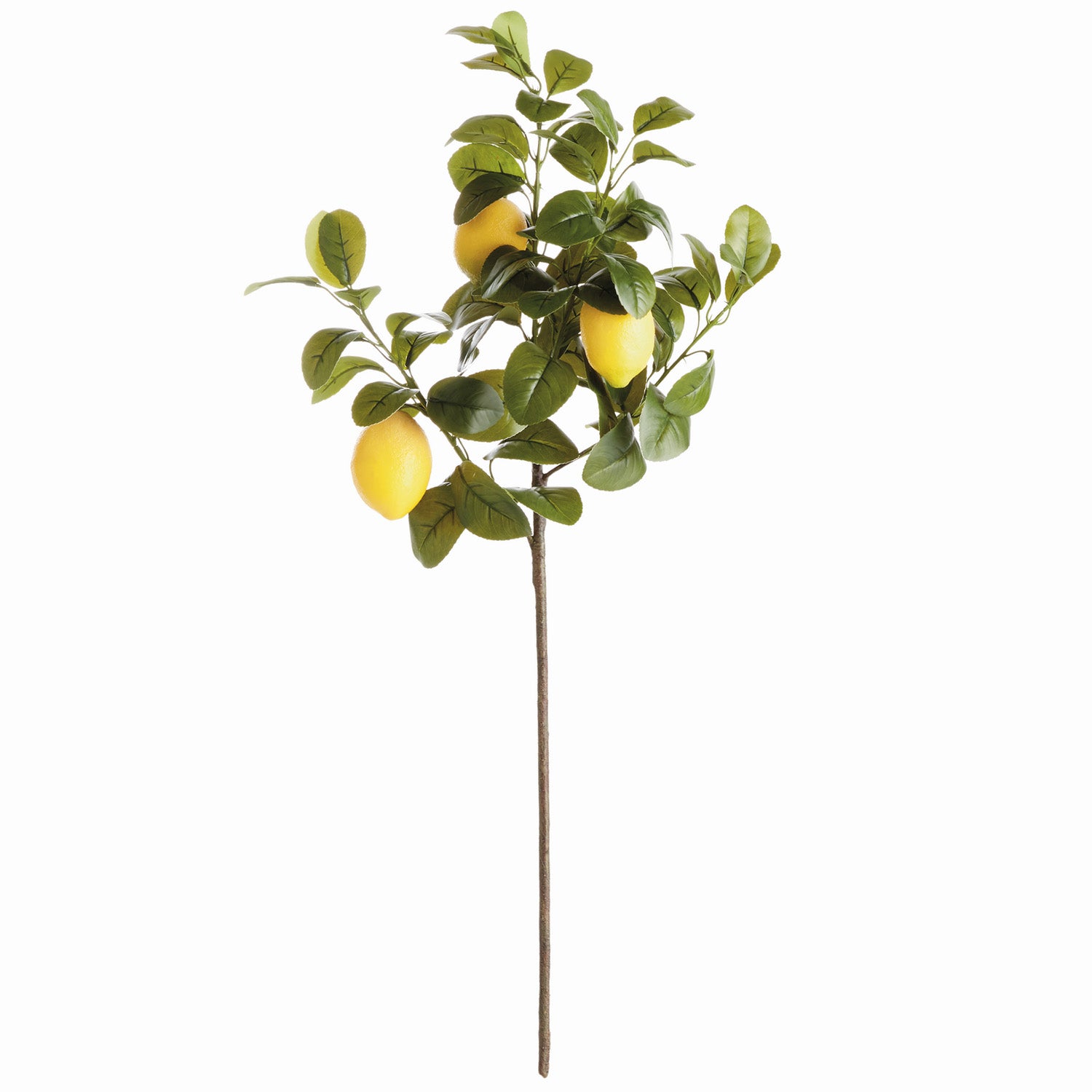 Faux Lemon 31in Faux Stem Set of 4