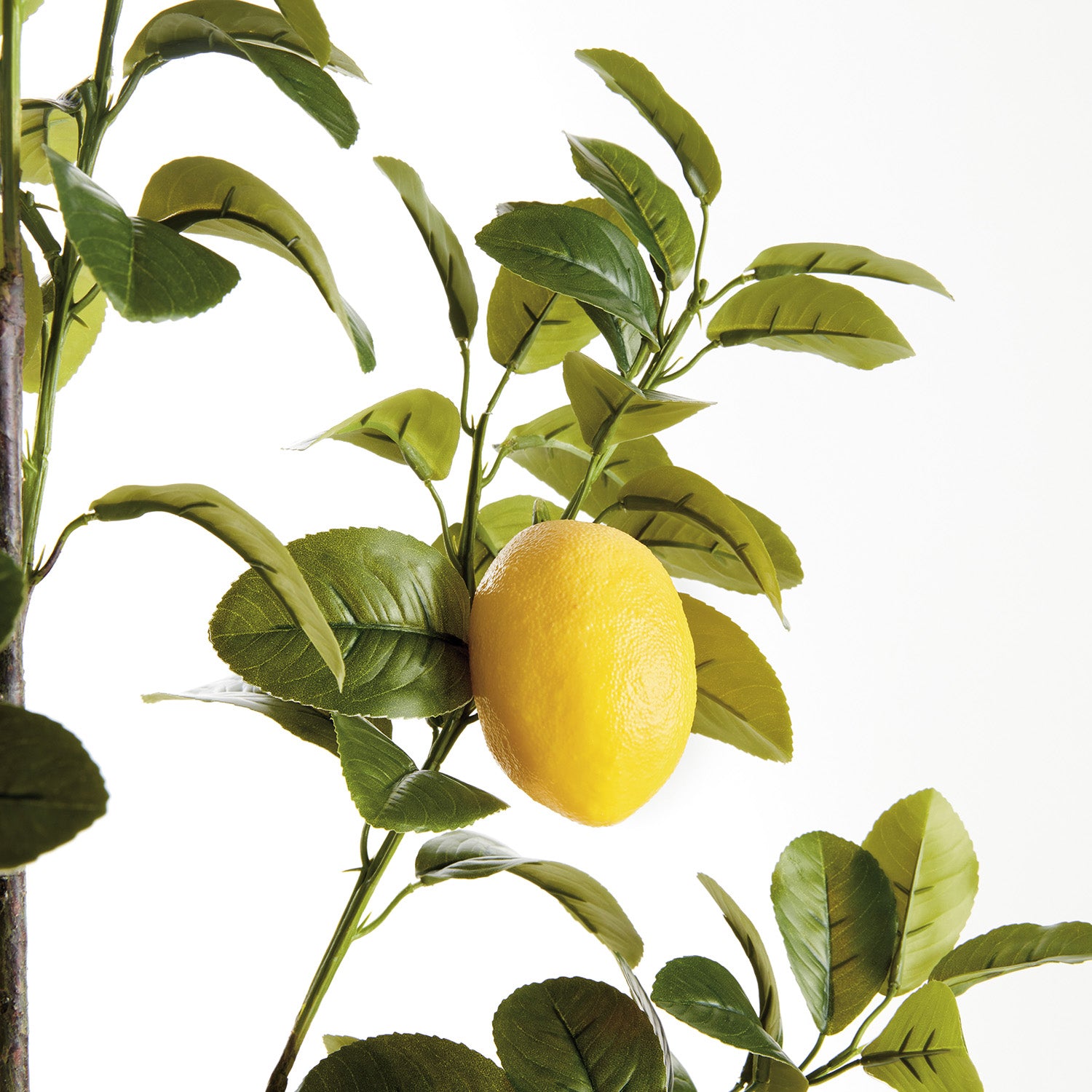 Faux Lemon 43in Faux Branches Set of 2