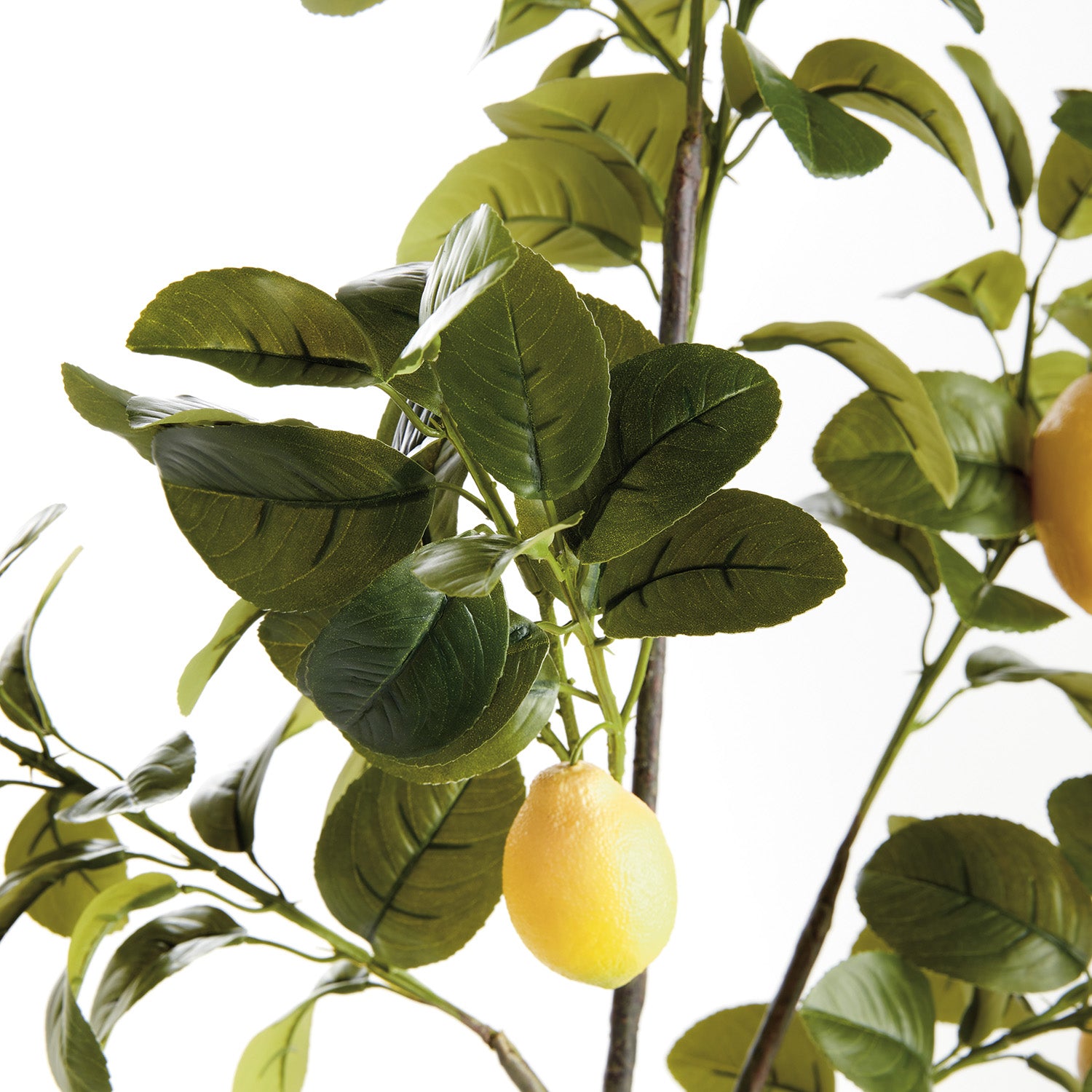 Faux Lemon 43in Faux Branches Set of 2