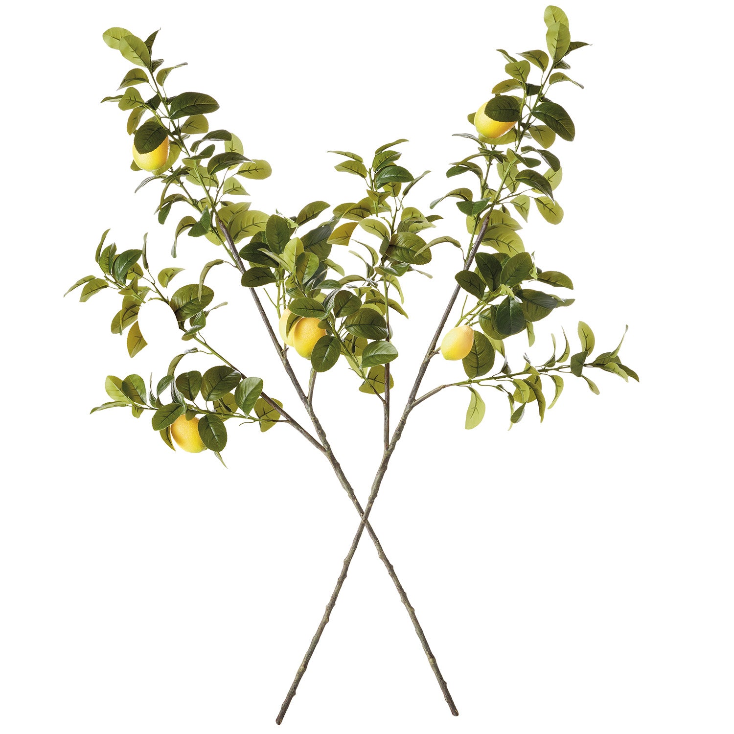 Faux Lemon 43in Faux Branches Set of 2