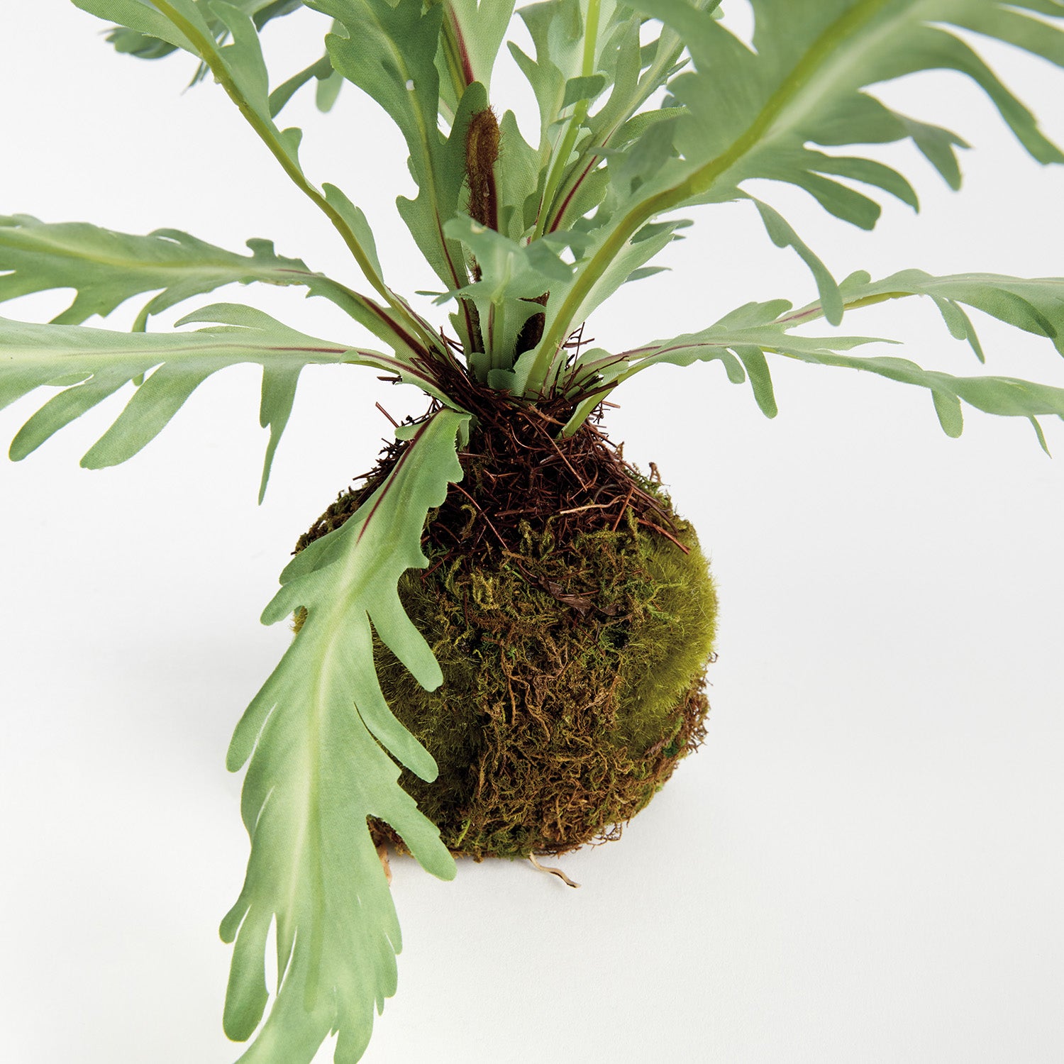 Rabbit Foot 9in Drop-In Faux Plant