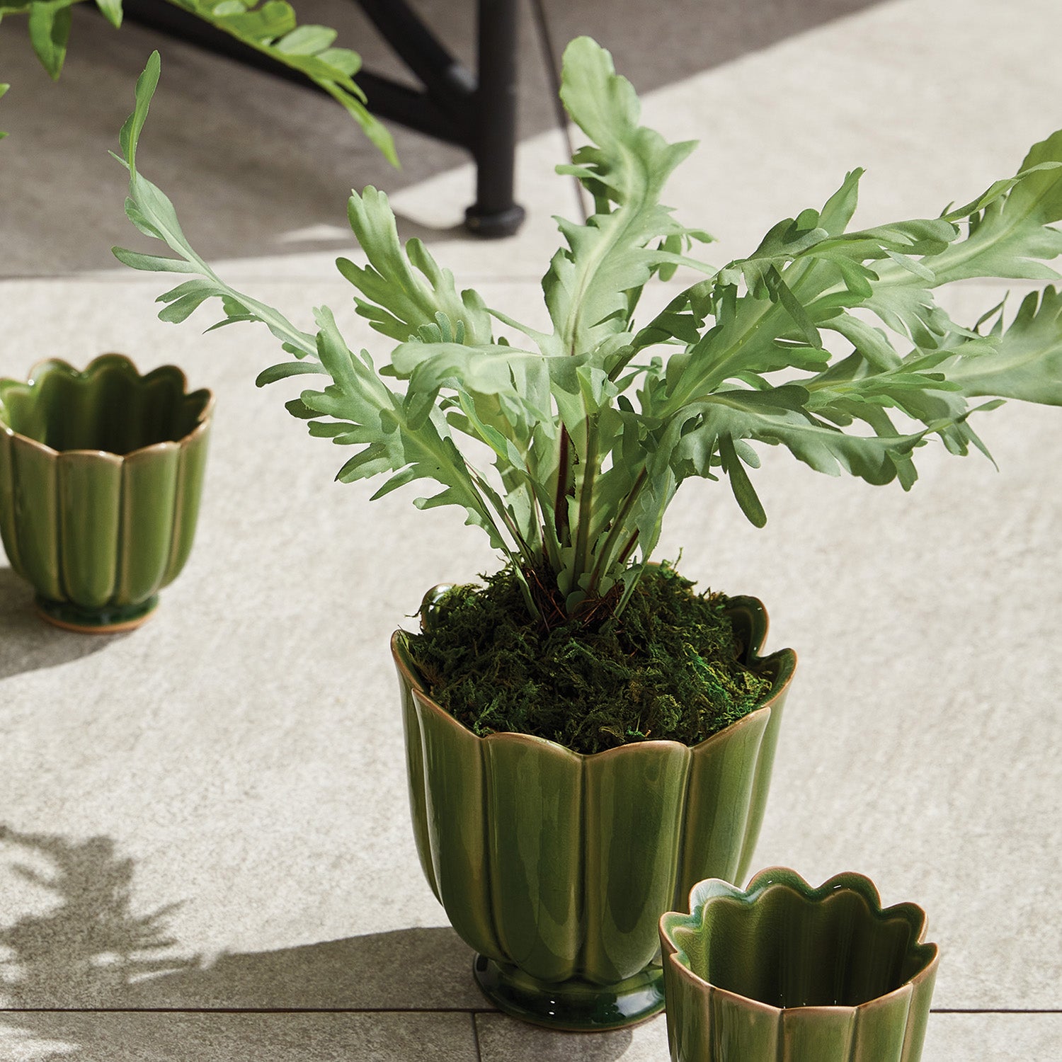 Rabbit Foot 9in Drop-In Faux Plant