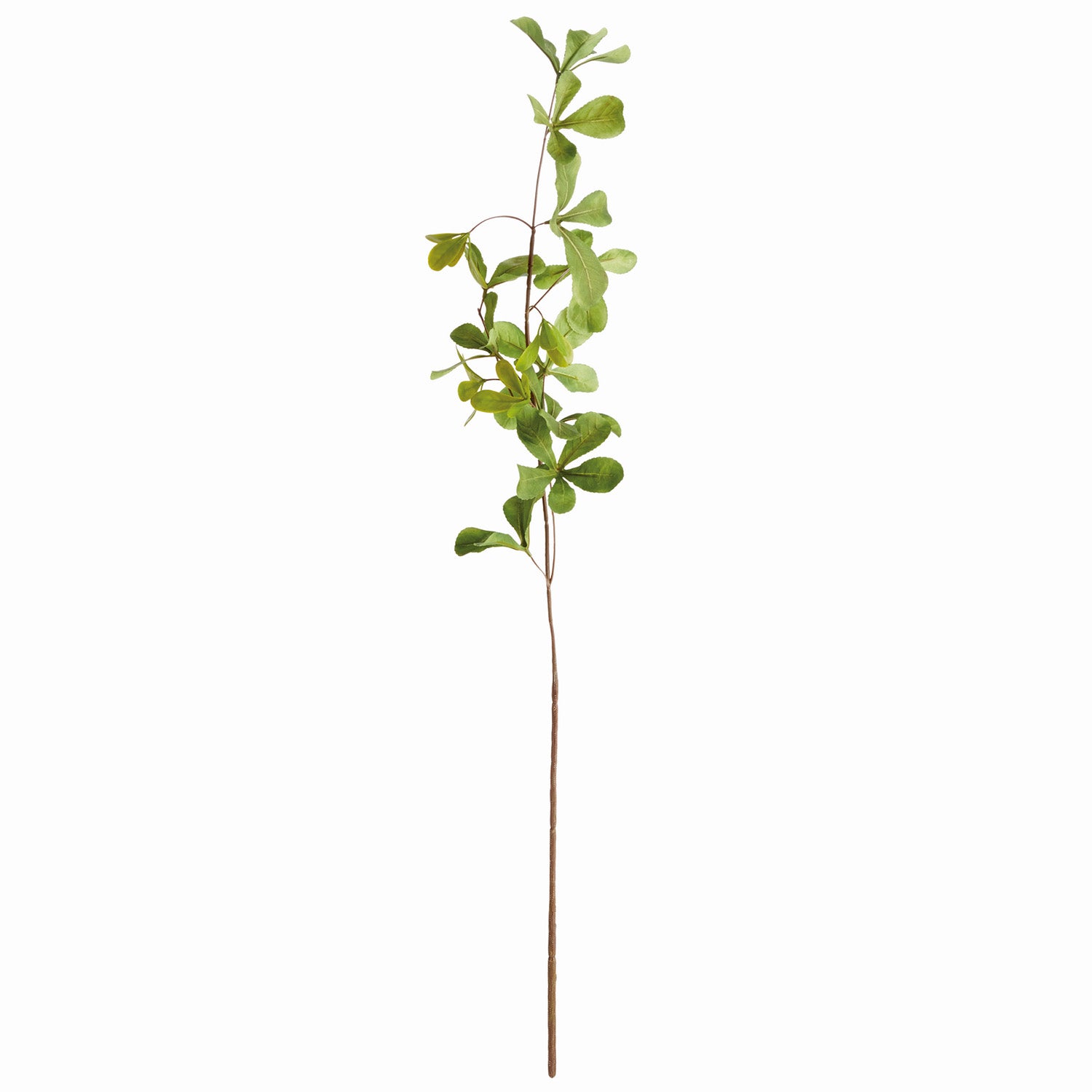 Shady Lady Black Olive 28in Faux Stem Set of 4