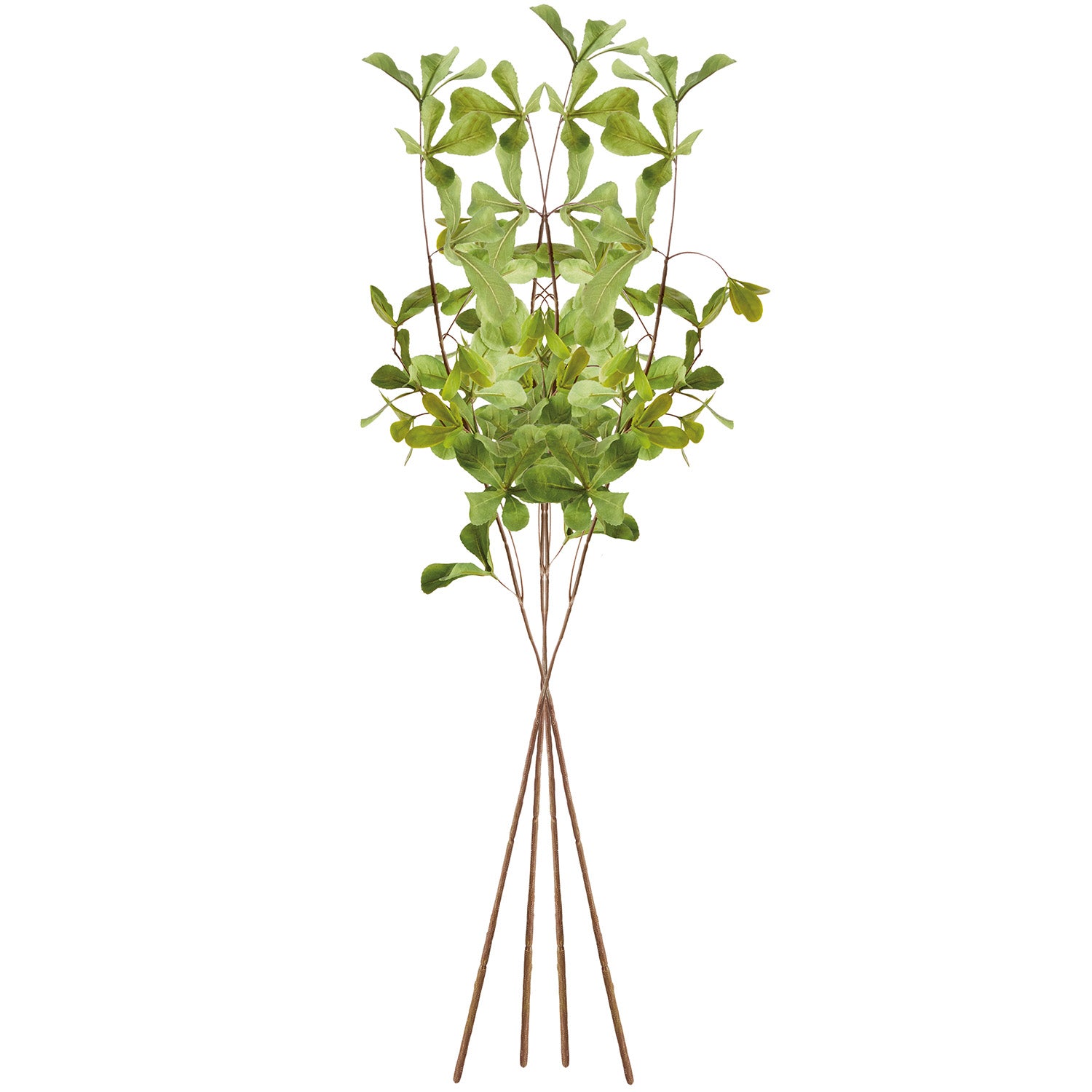 Shady Lady Black Olive 28in Faux Stem Set of 4