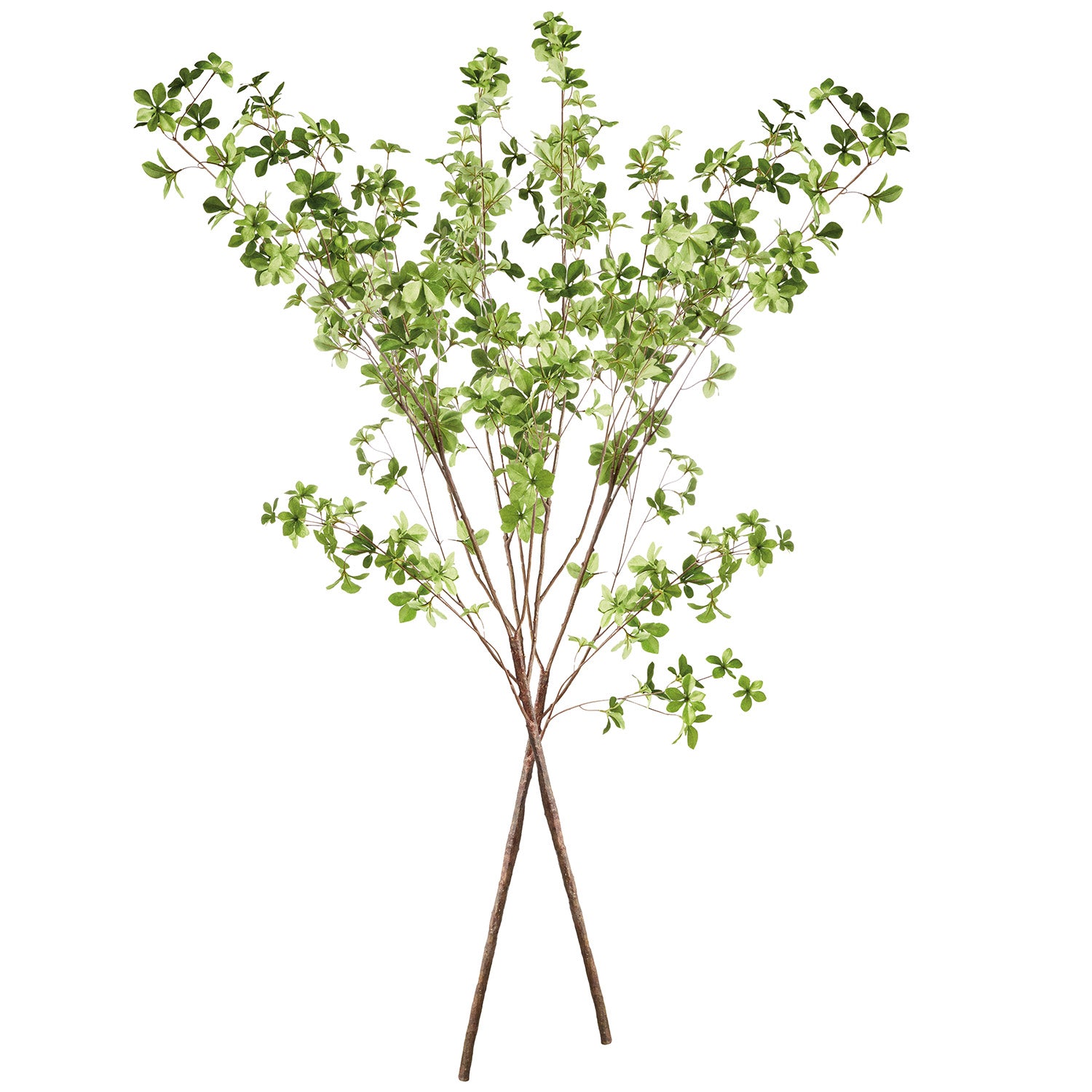 Shady Lady Black Olive 56in Faux Branches Set of 2