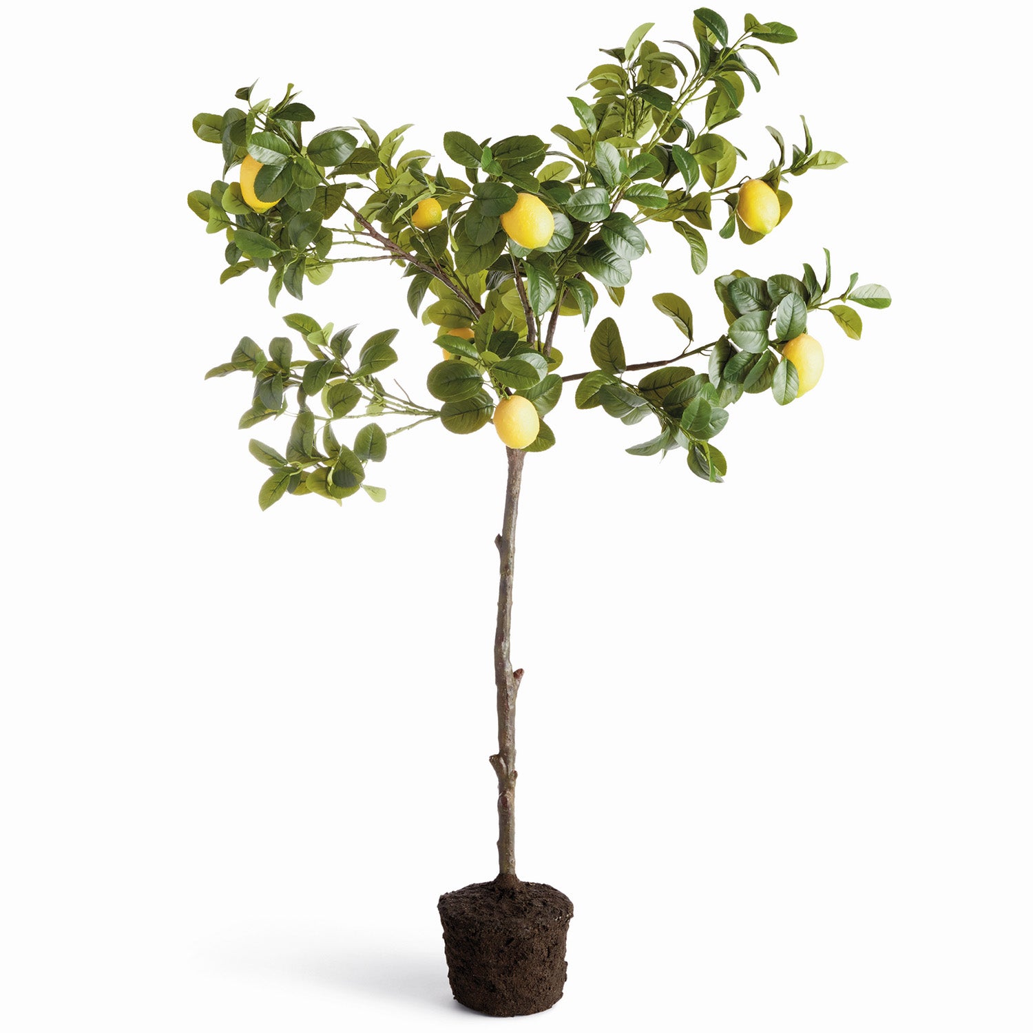 Faux Lemon Tree 49in Drop-In Plant