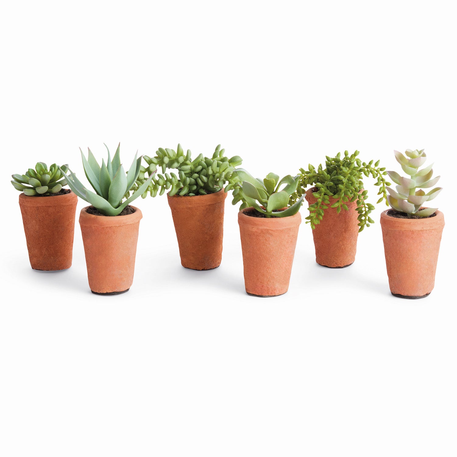 Potted Succulents 8.5in Faux Plant Set of 6