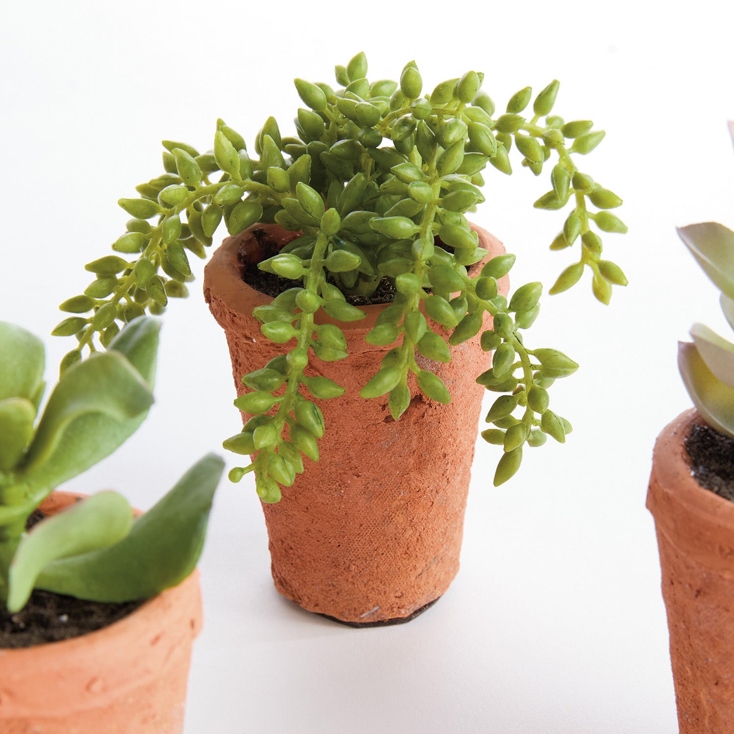 Potted Succulents 8.5in Faux Plant Set of 6