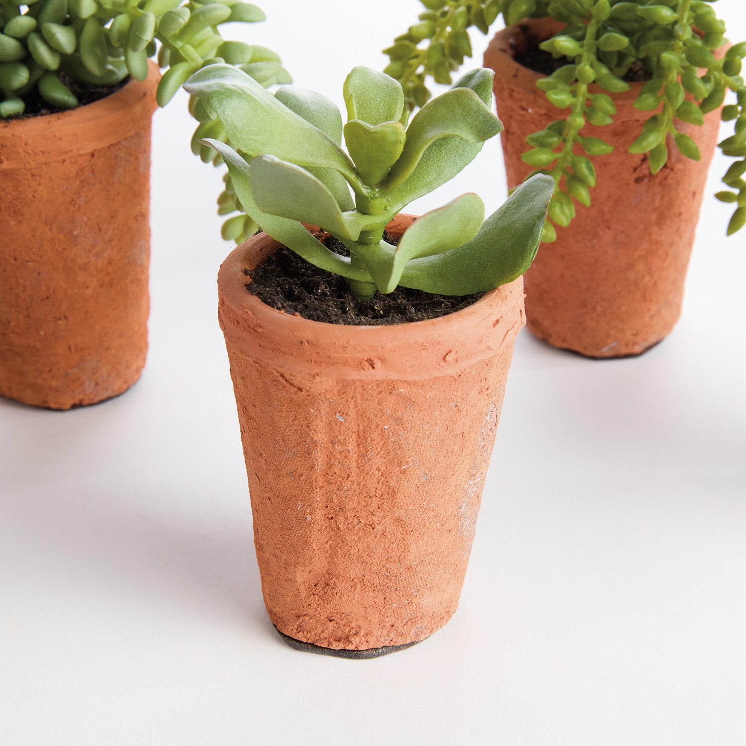 Potted Succulents 8.5in Faux Plant Set of 6