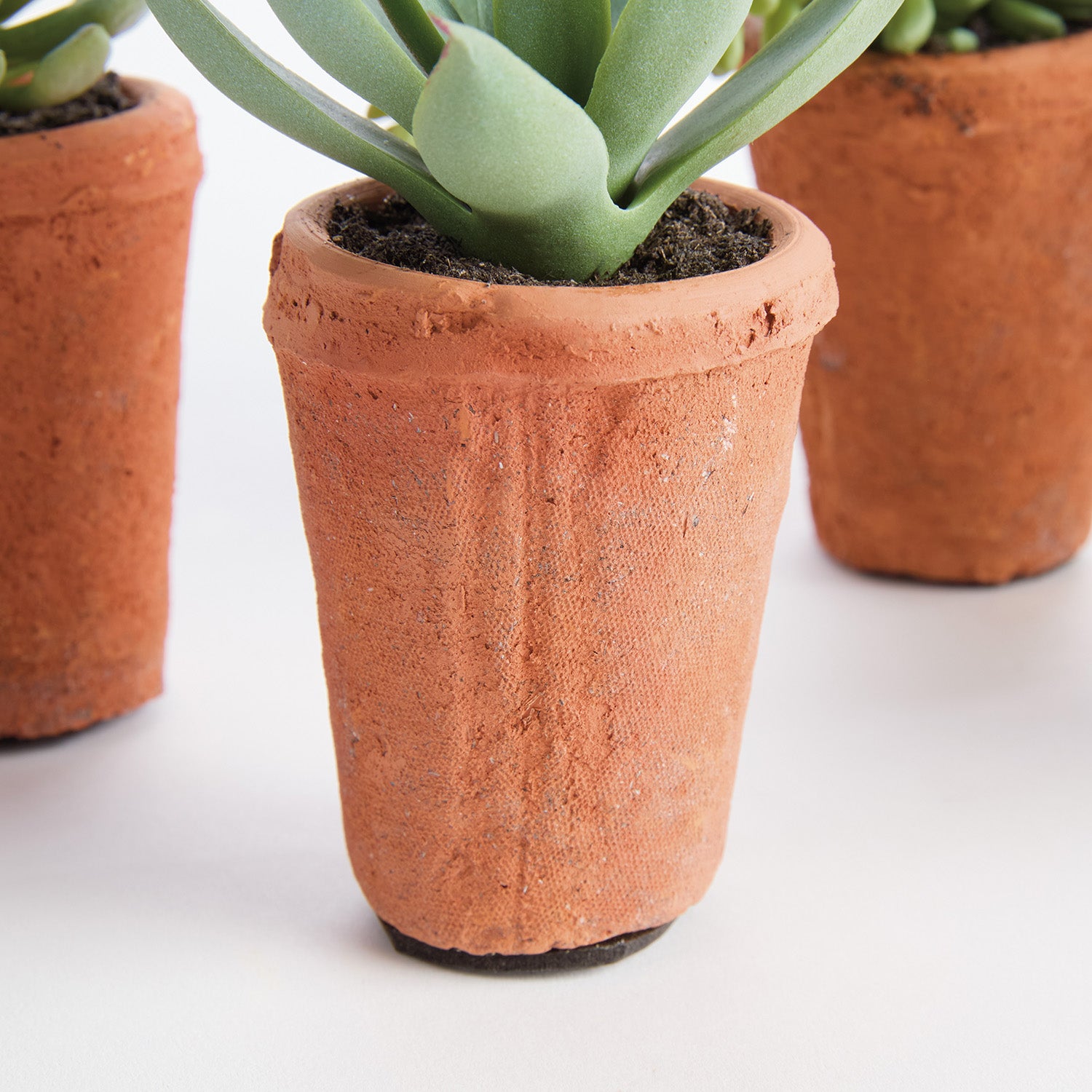 Potted Succulents 8.5in Faux Plant Set of 6