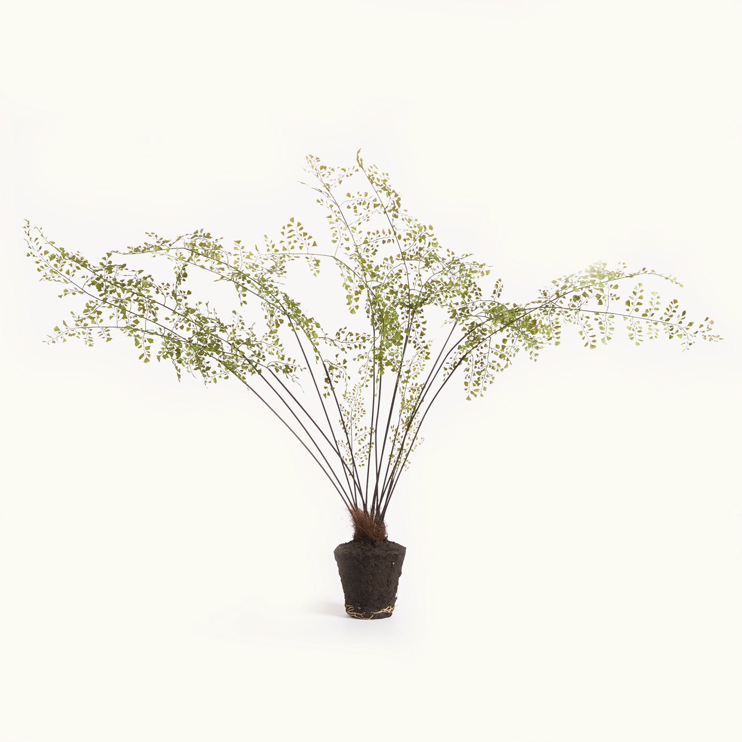 Maidenhair 44in Drop-In Faux Plant