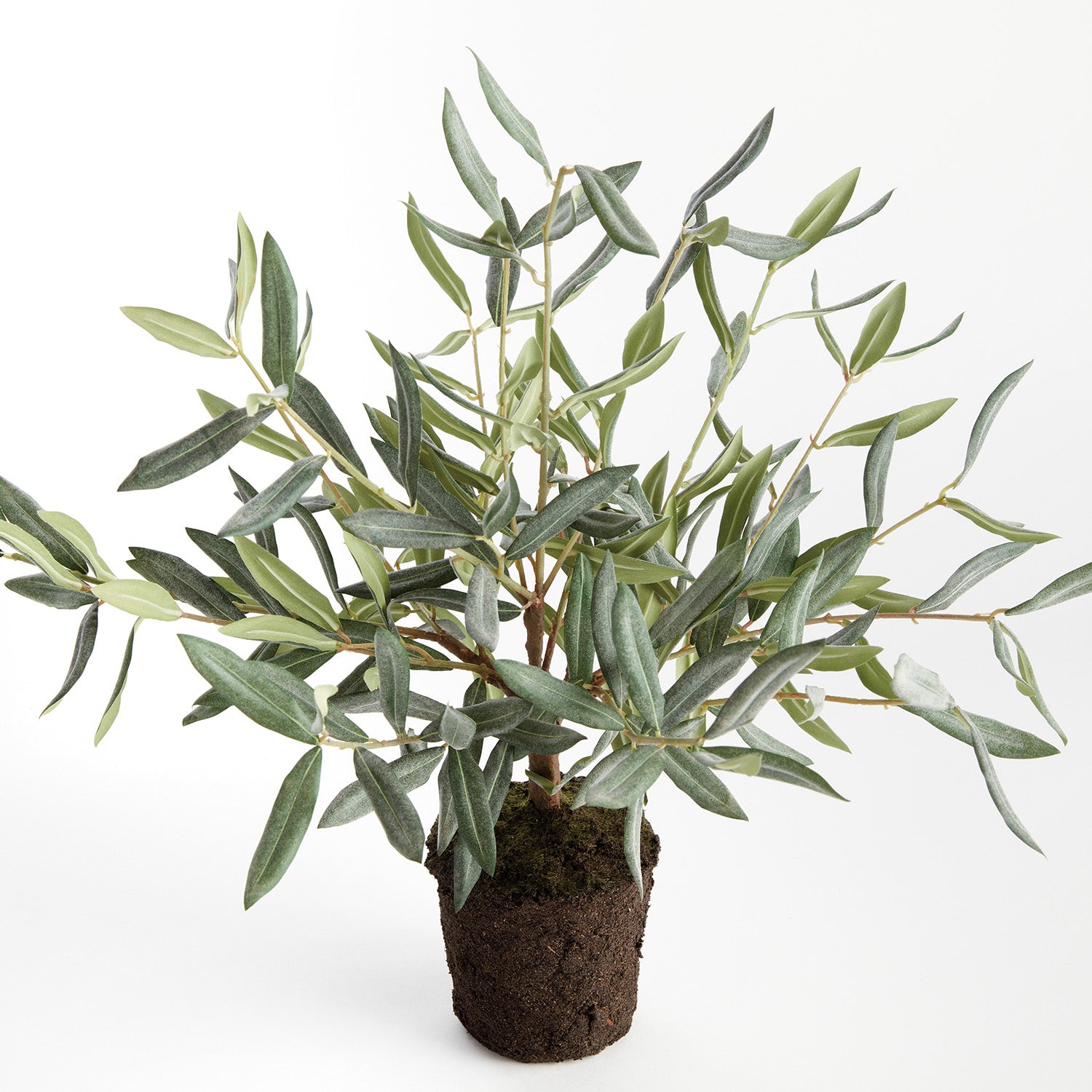 Olive Tree 17.5in Drop-In Faux Plant