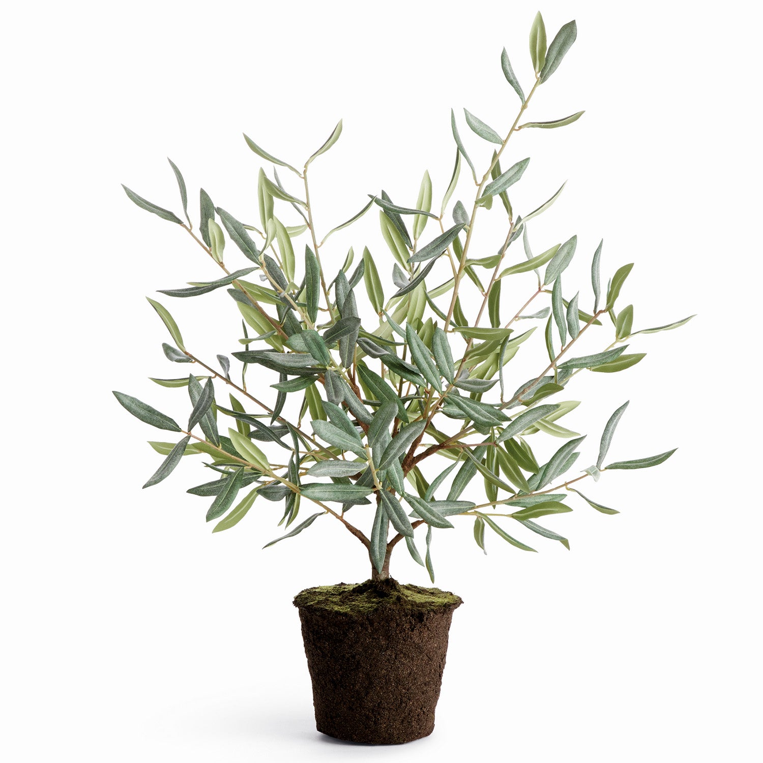 Olive Tree 26in Drop-In Faux Plant