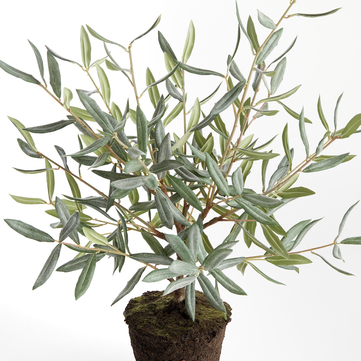 Olive Tree 26in Drop-In Faux Plant