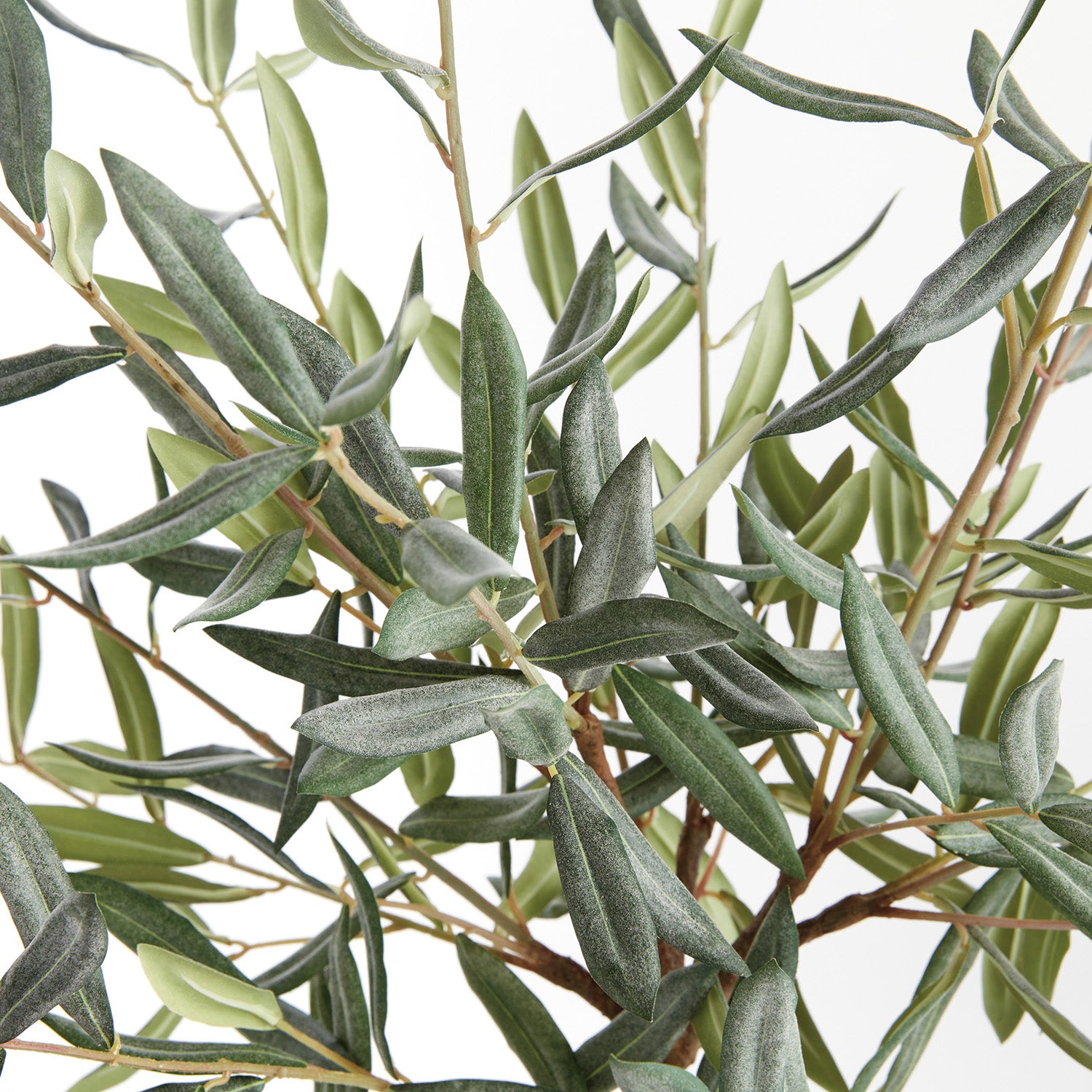 Olive Tree 26in Drop-In Faux Plant