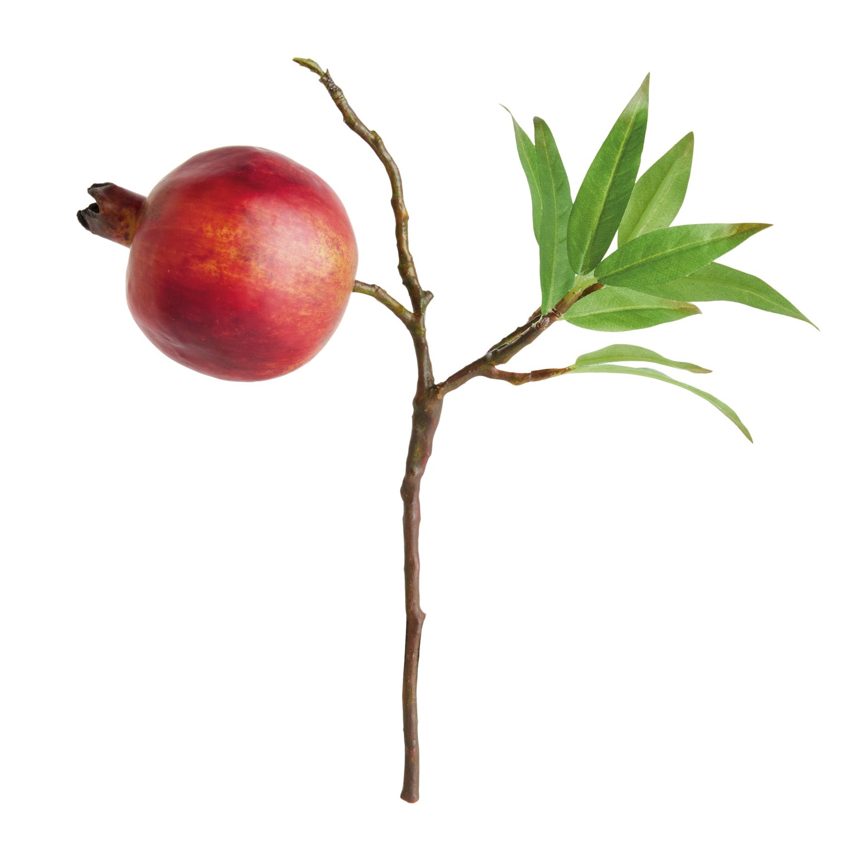 Pomegranate Picks 10in Faux Plant Stem Set of 4