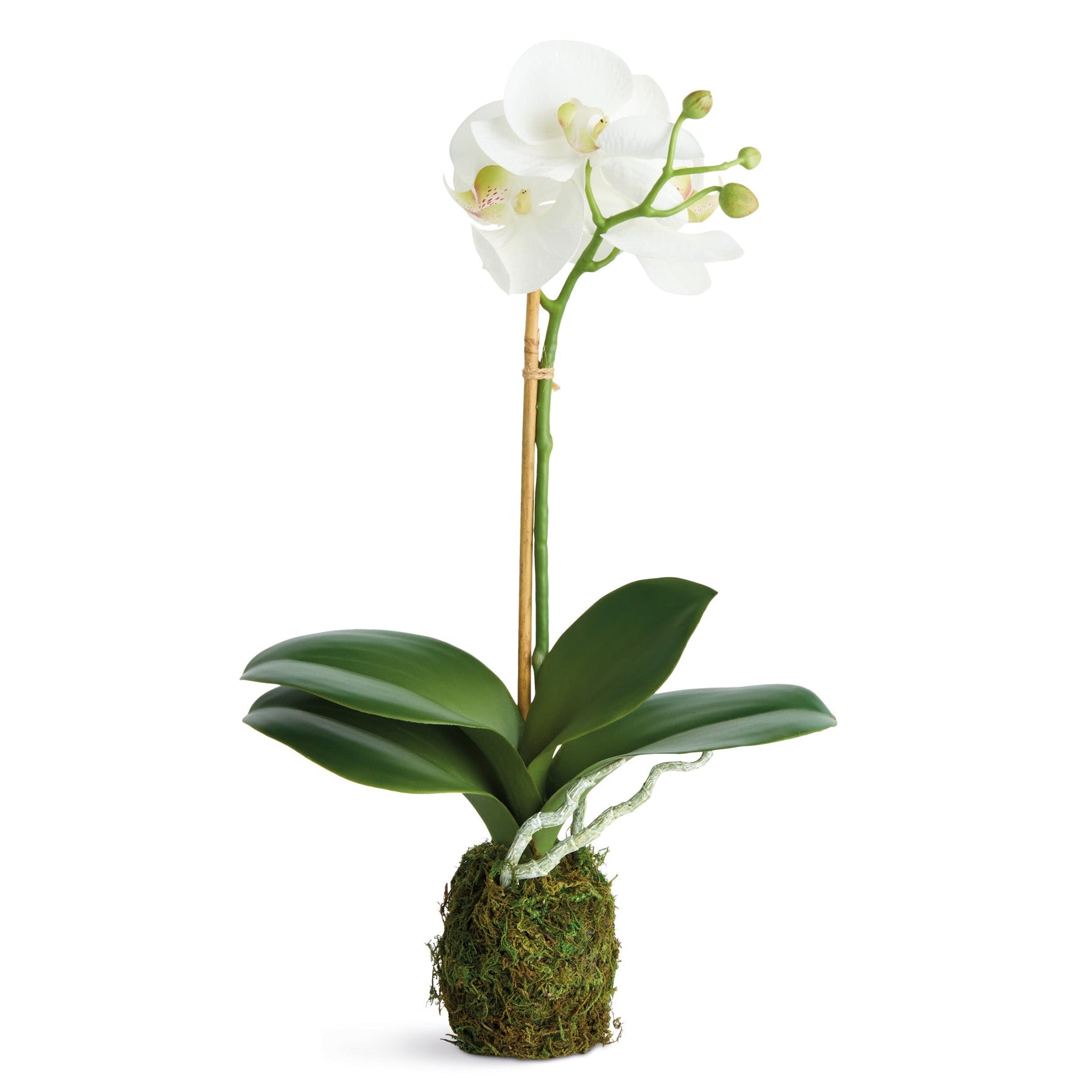 Phalaenopsis Orchid 15in Drop-In Faux Plant Set of 2