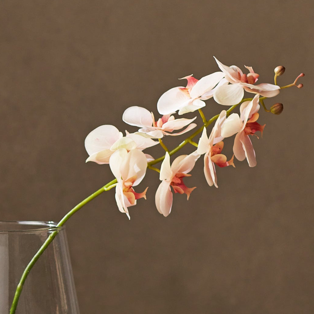 Phalaenopsis Orchid 28in Faux Plant Stem Set of 4