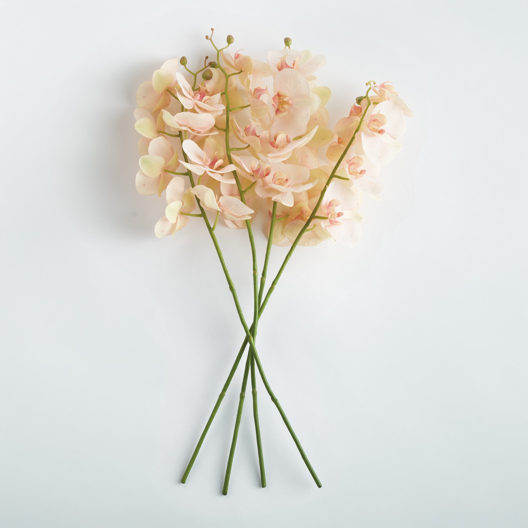 Phalaenopsis Orchid 28in Faux Plant Stem Set of 4