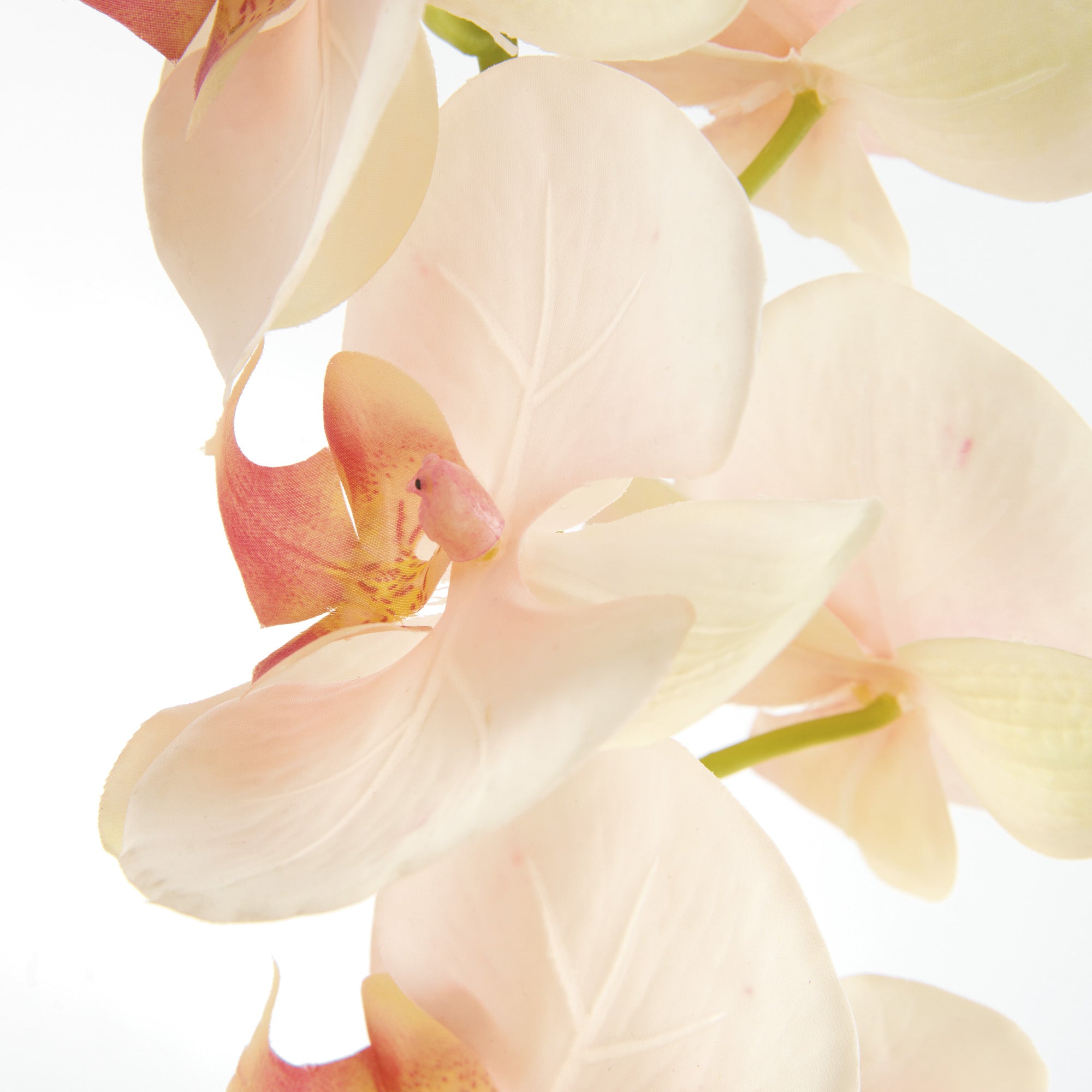 Phalaenopsis Orchid 28in Faux Plant Stem Set of 4