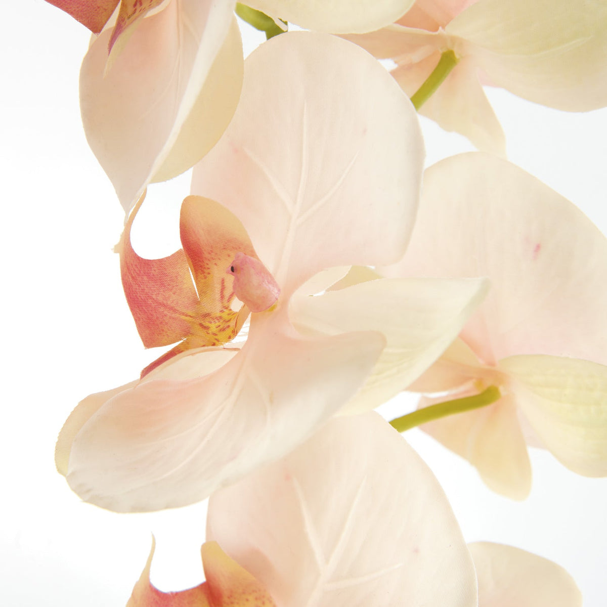 Phalaenopsis Orchid 28in Faux Plant Stem Set of 4