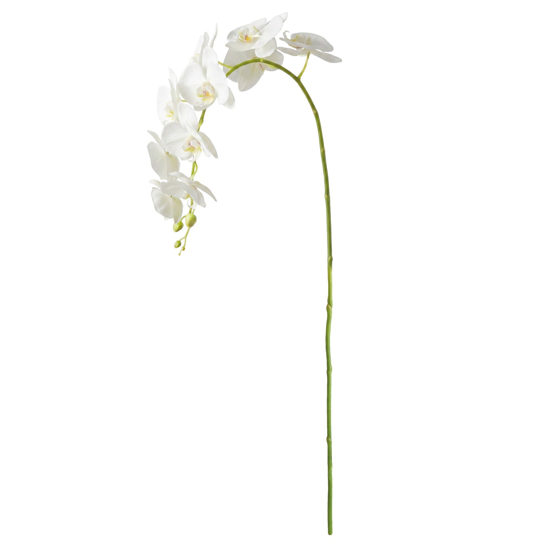 Phalaenopsis Orchid 28in Faux Plant Stem Set of 4 2