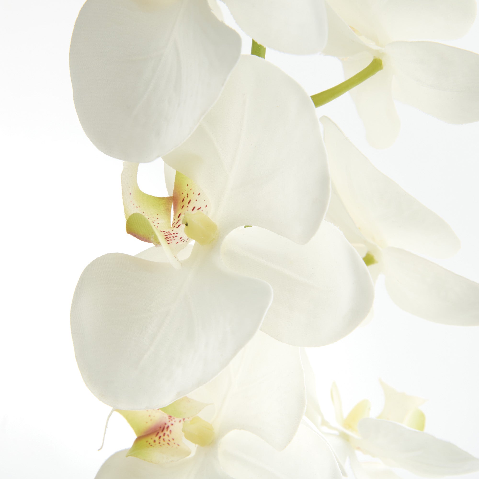 Phalaenopsis Orchid 28in Faux Plant Stem Set of 4 2