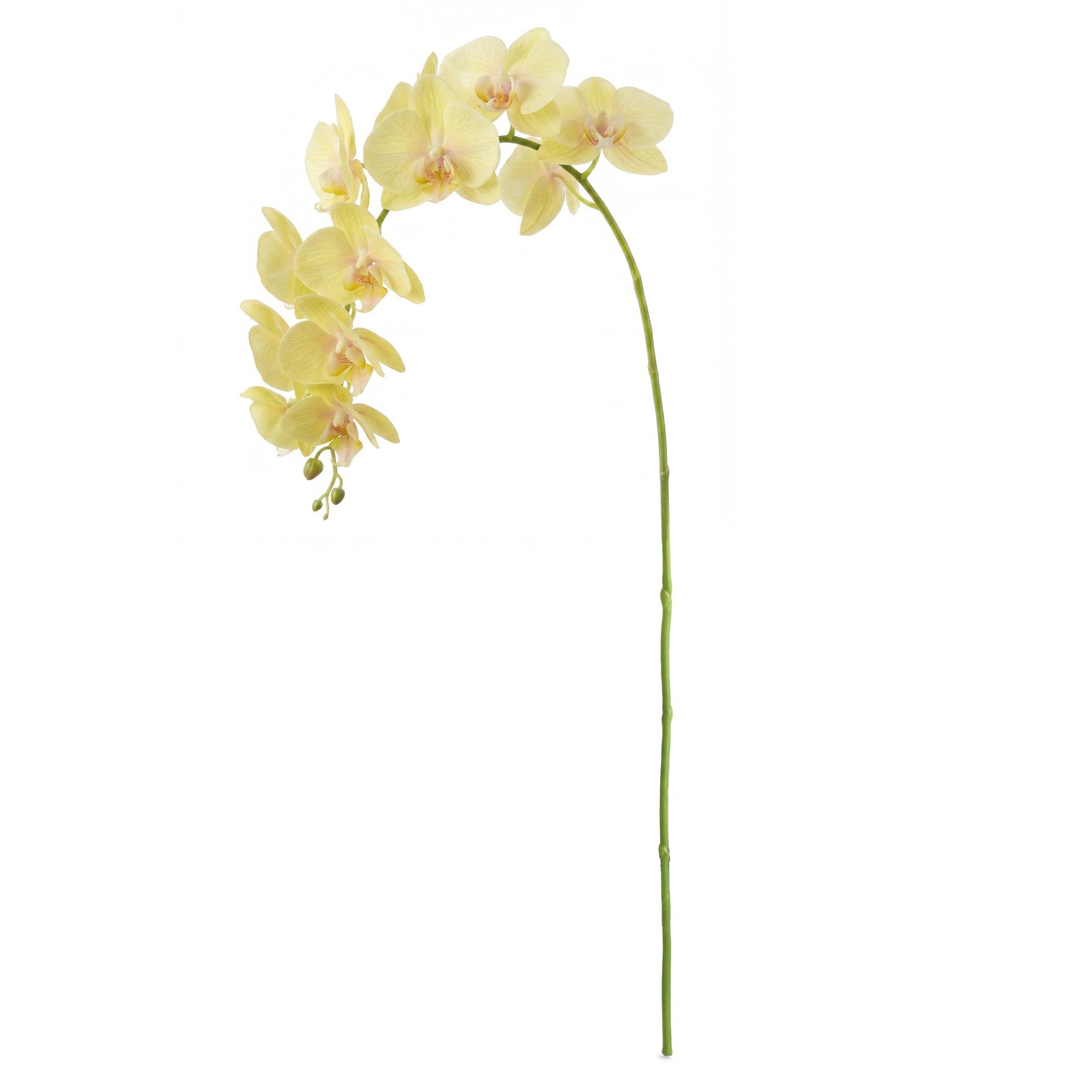 Phalaenopsis Orchid 28in Faux Plant Stem Set of 4 3