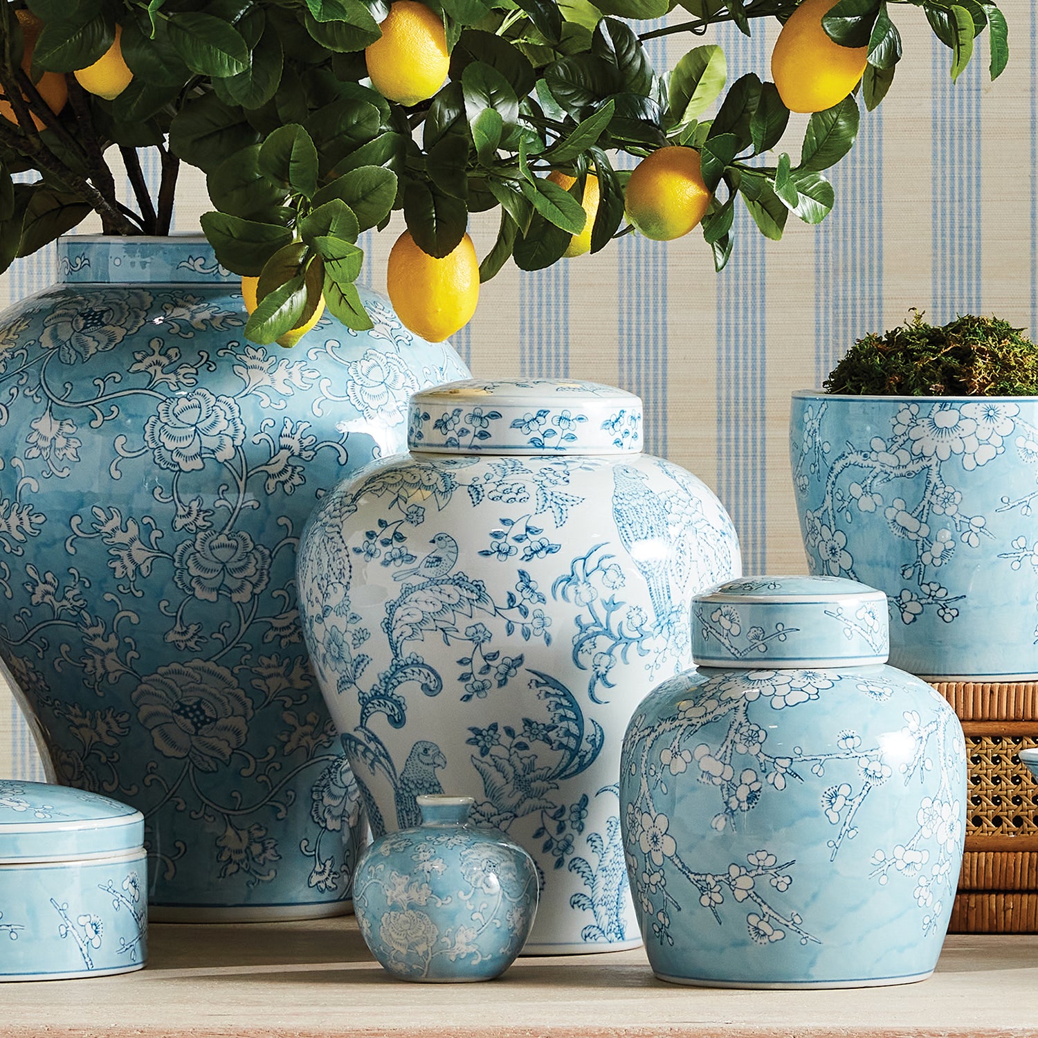 Monarch Parrot Ginger Jar