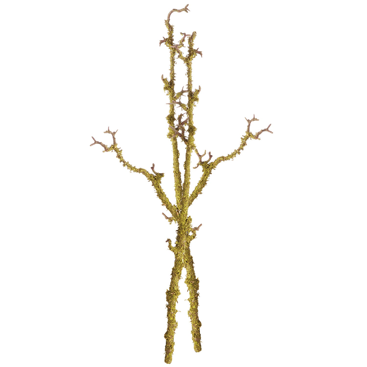 Lichen 28in Faux Branches Set of 2