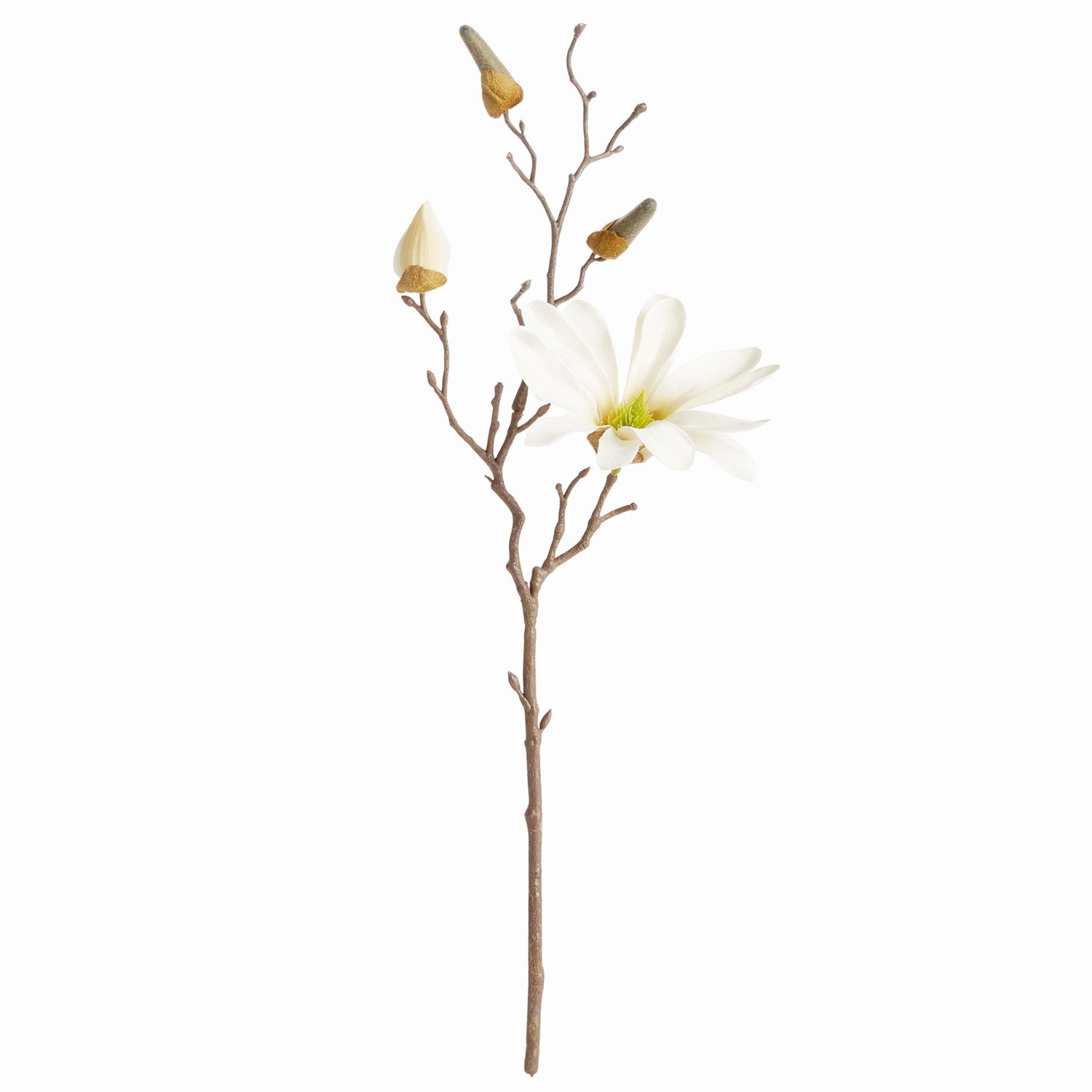 Star Magnolia 18in Faux Stem Set of 6