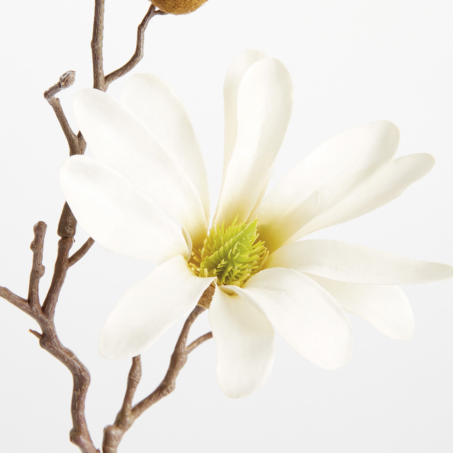 Star Magnolia 18in Faux Stem Set of 6