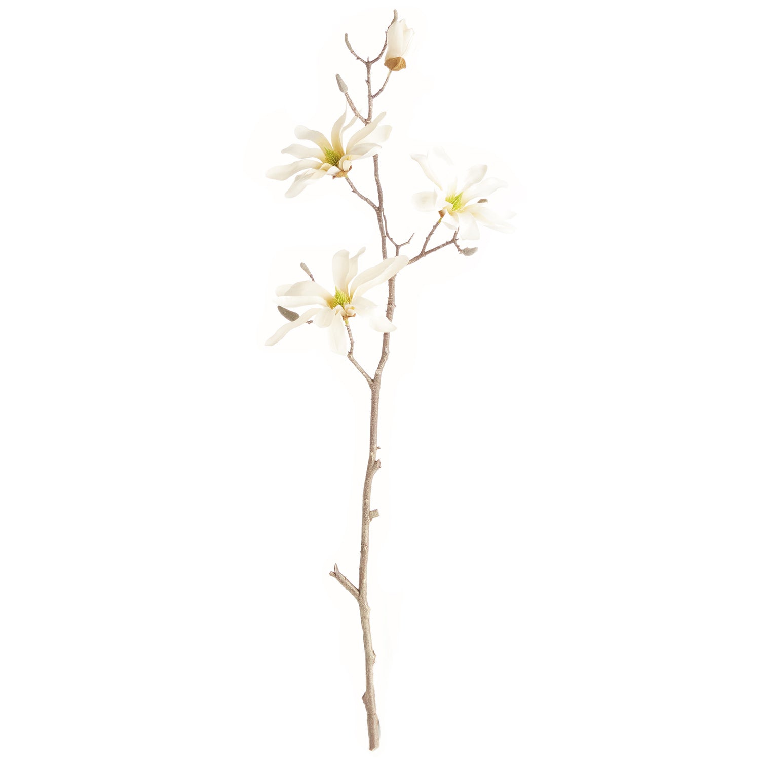 Star Magnolia 32in Faux Branches Set of 6