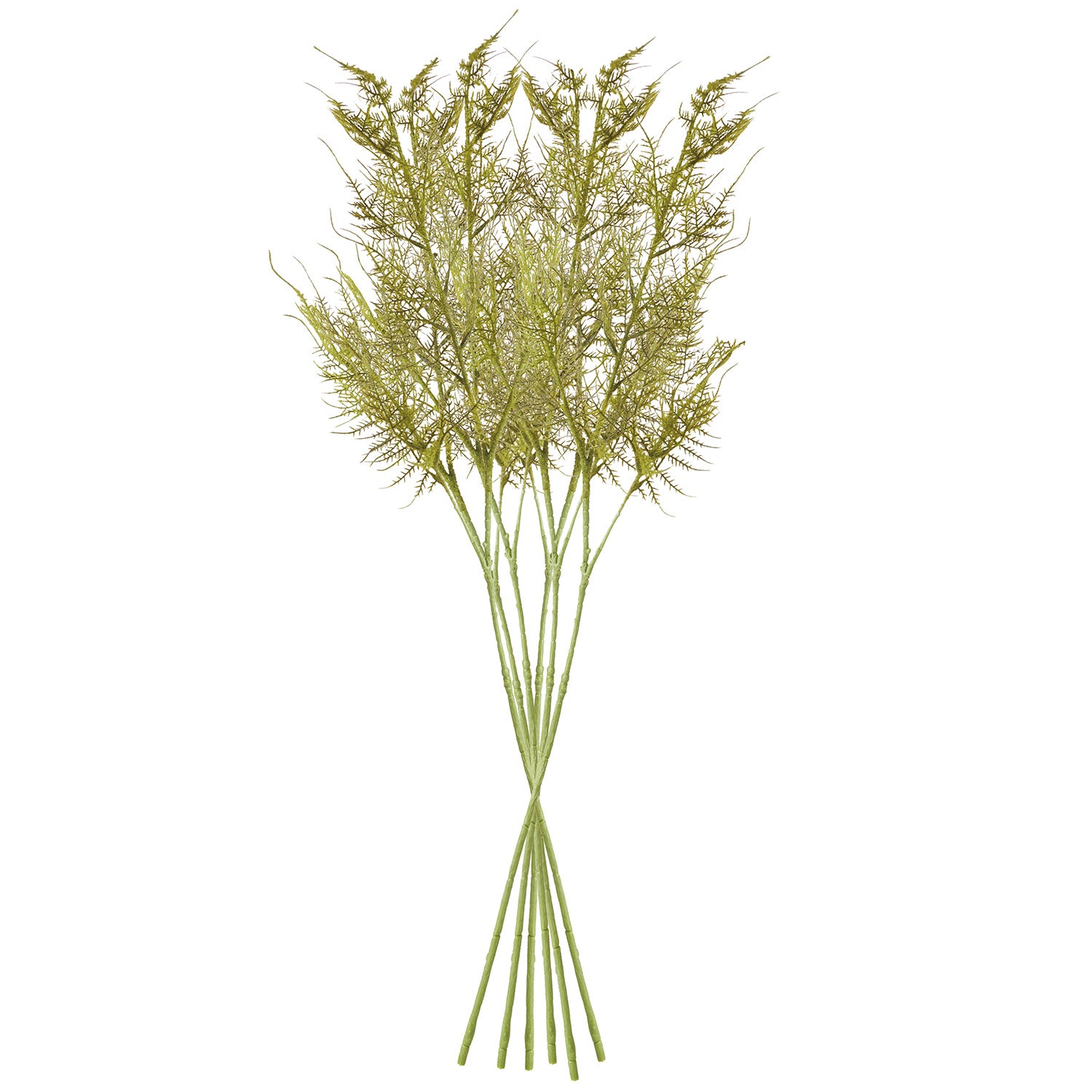 Plumosa Faux Stem Set of 6