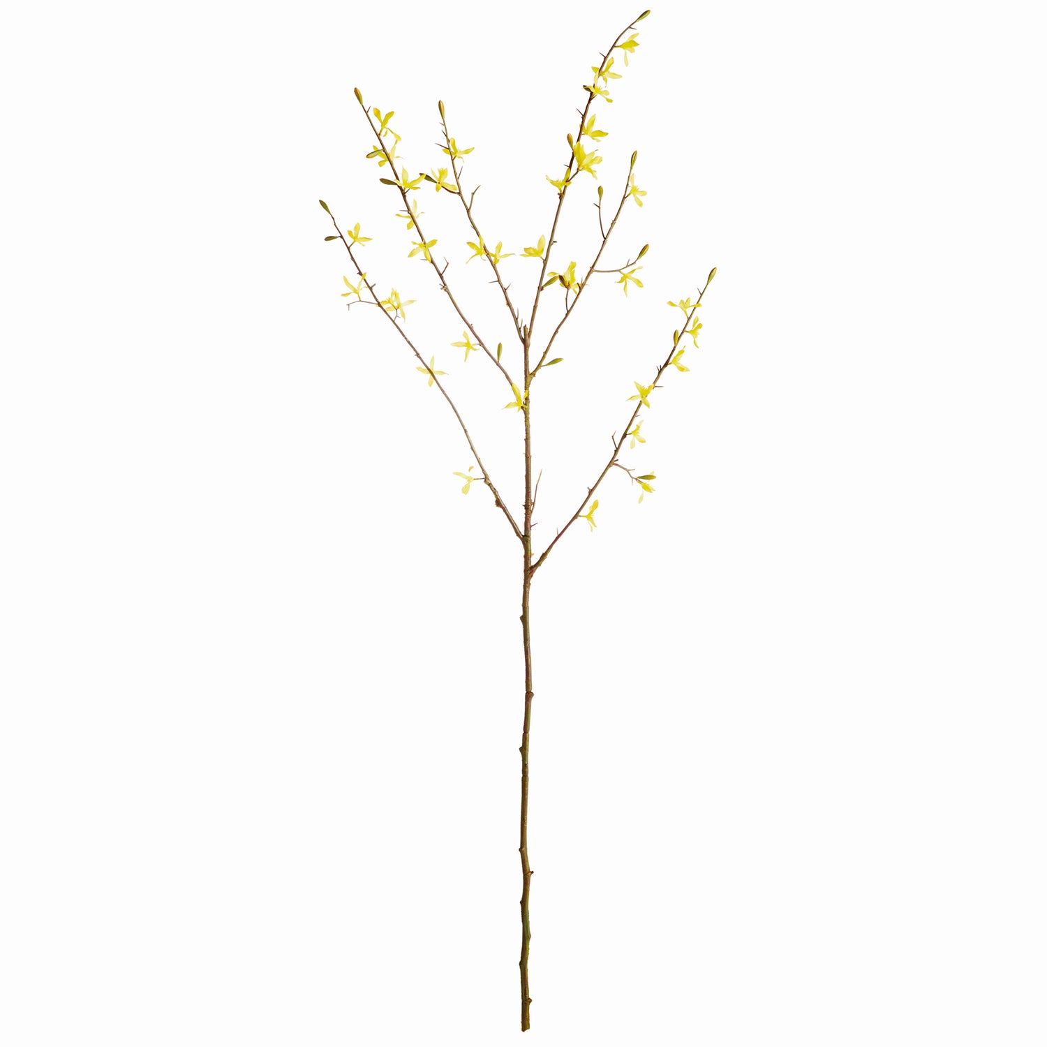 Forsythia 47in Faux Plant Stem Set of 6