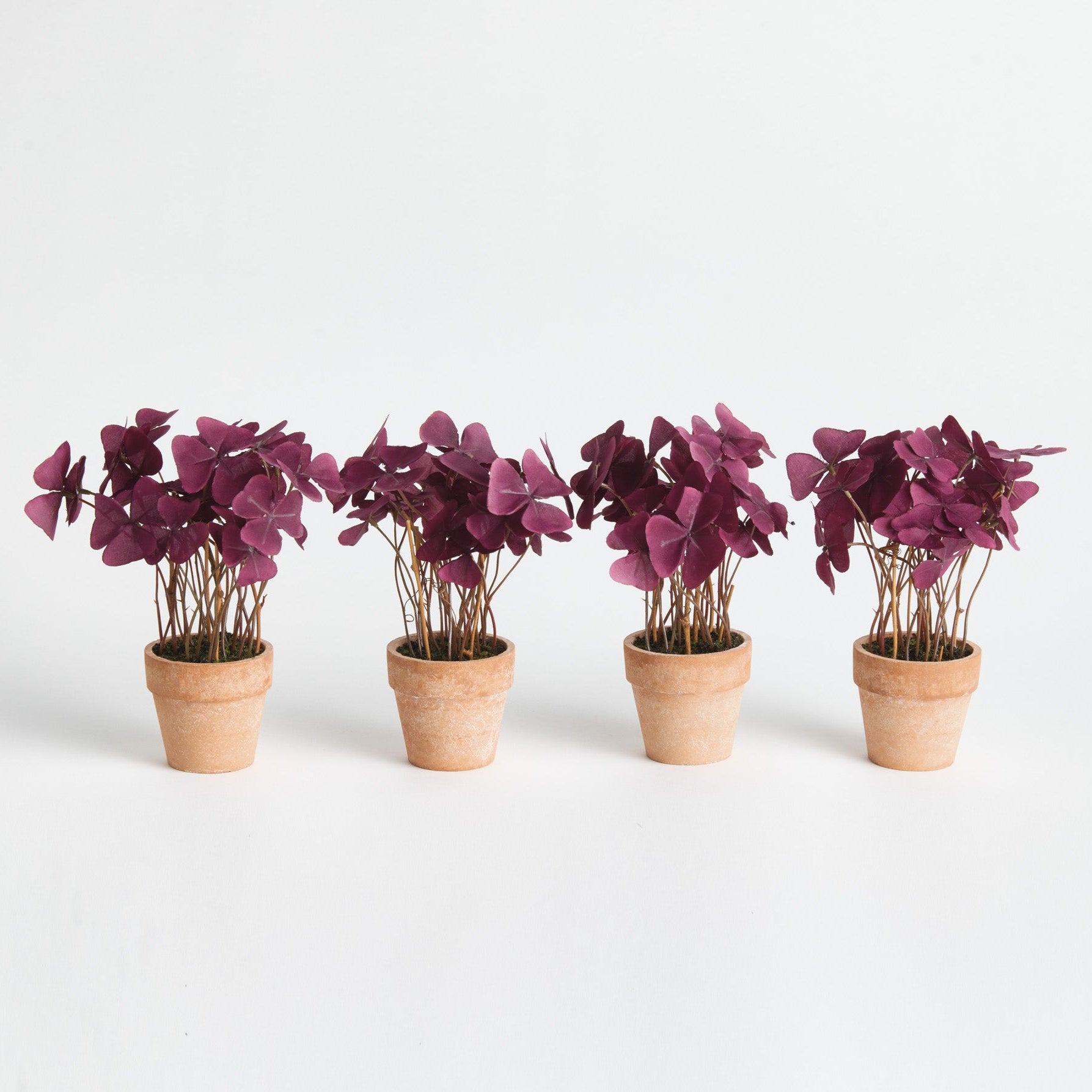 Mini Oxalis Potted 7in Drop-In Faux Plant Set of 4