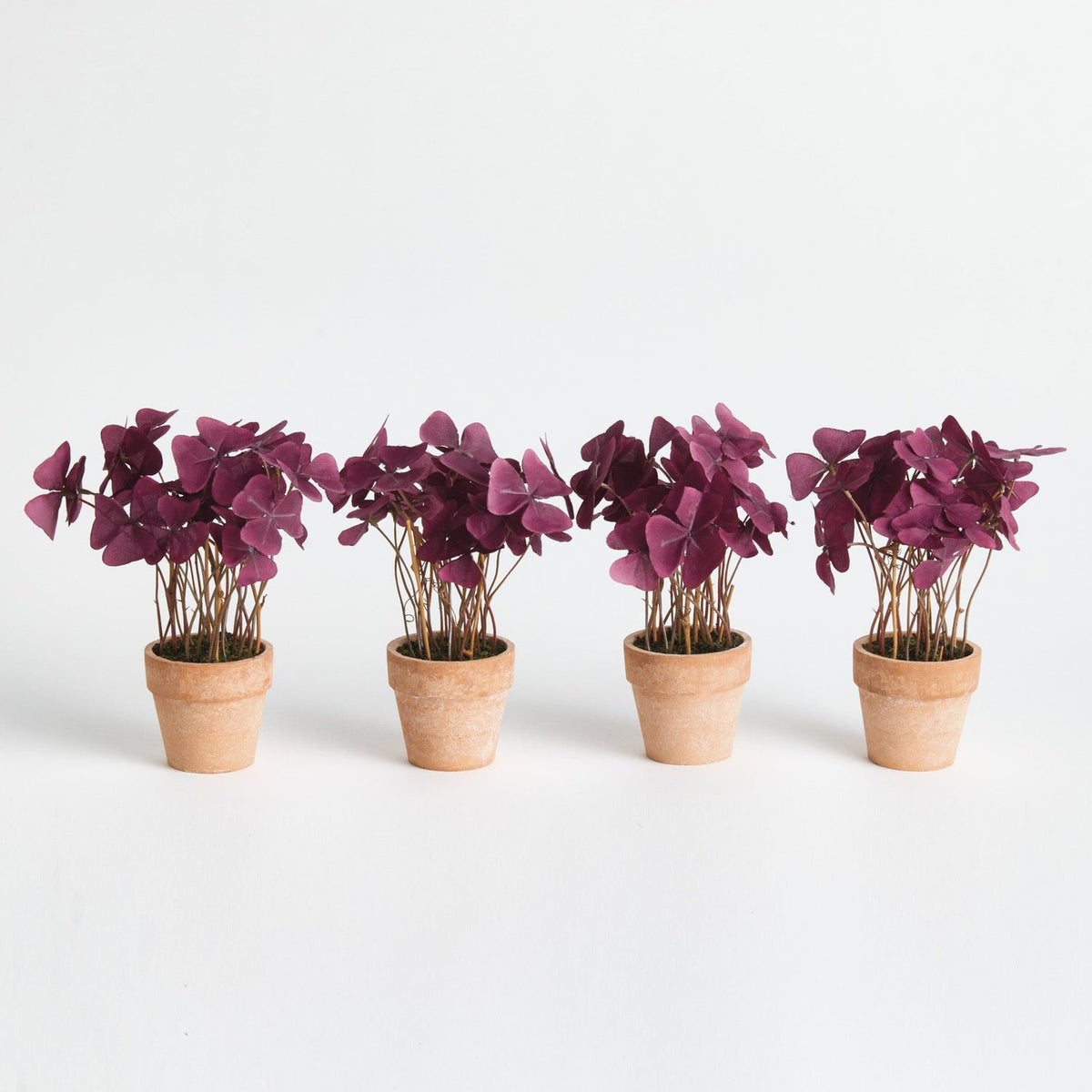 Mini Oxalis Potted 7in Drop-In Faux Plant Set of 4