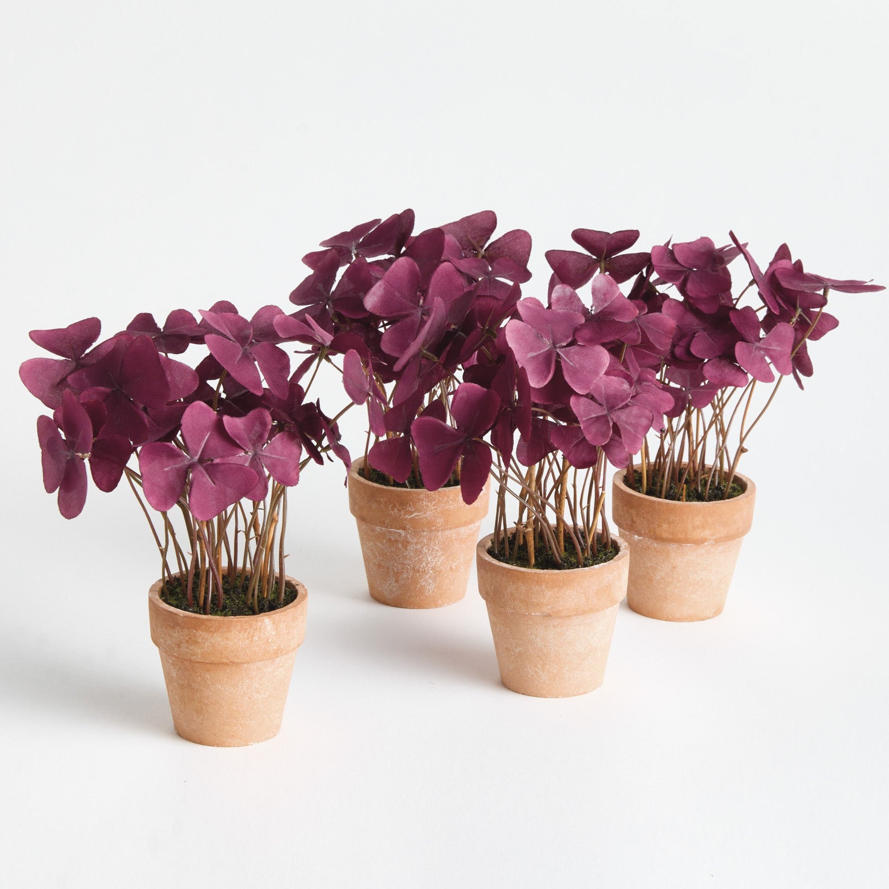Mini Oxalis Potted 7in Drop-In Faux Plant Set of 4