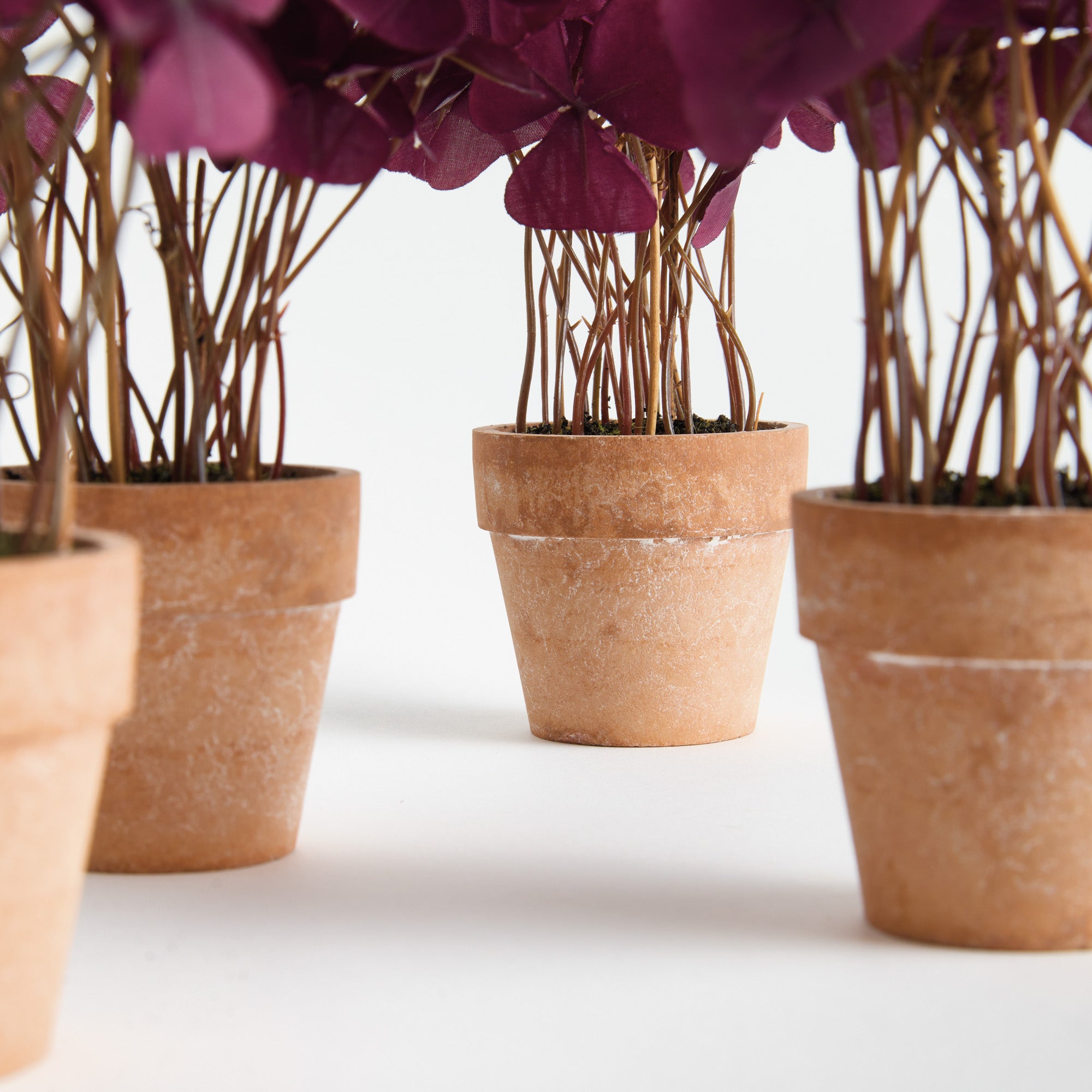 Mini Oxalis Potted 7in Drop-In Faux Plant Set of 4