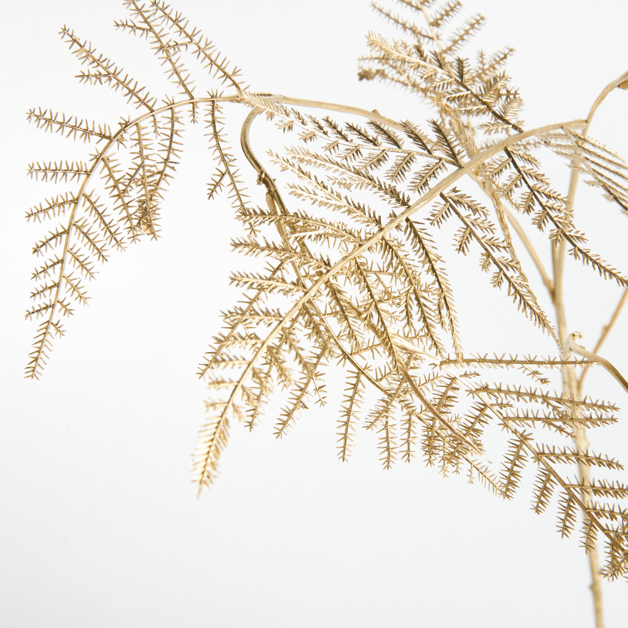 Gilded Fern Faux Plant Stem Set of 4