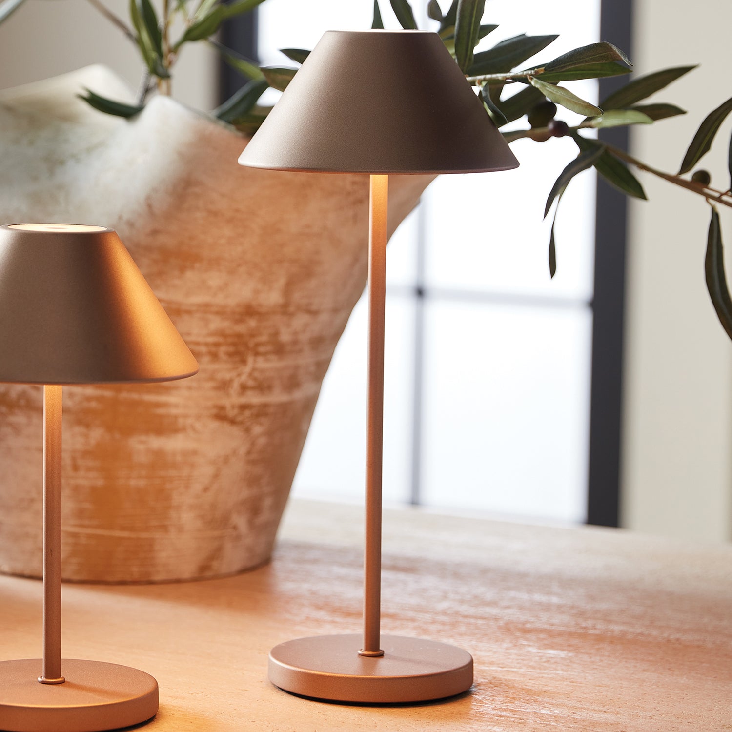 Alluna LED Cordless Lamp
