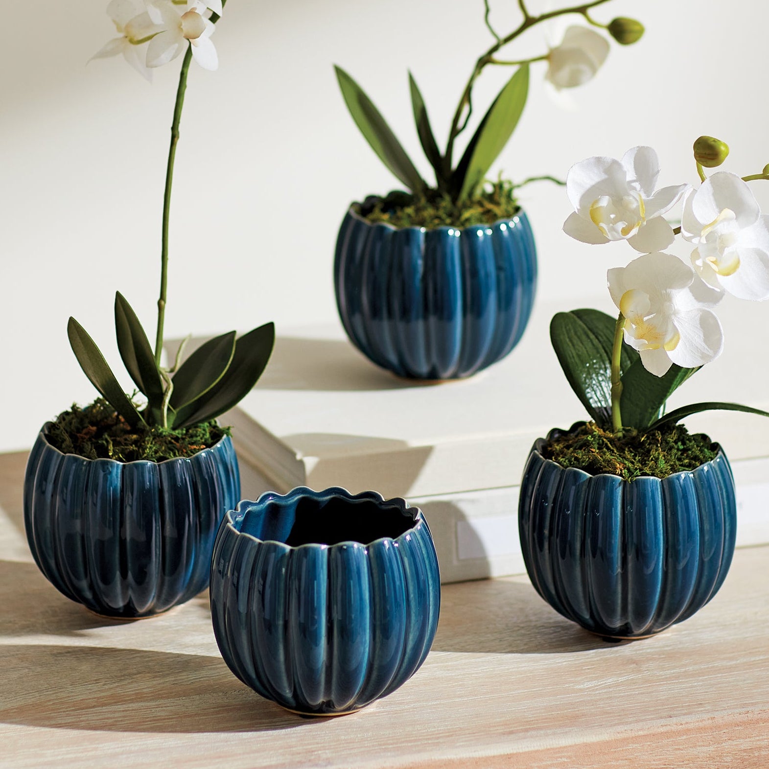 Leanna Blue Mini Pot Set of 4