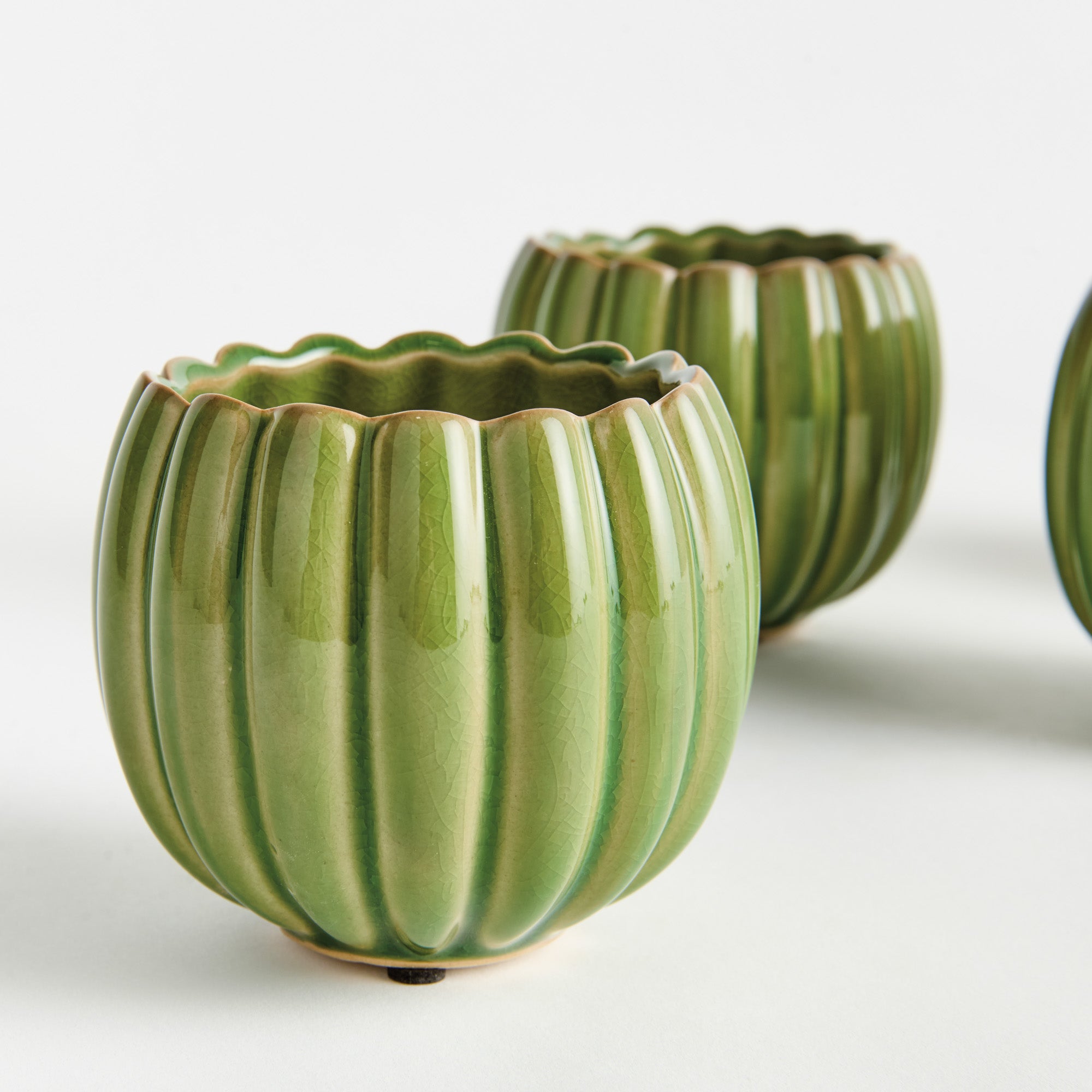Leanna Green Mini Pot Set of 4