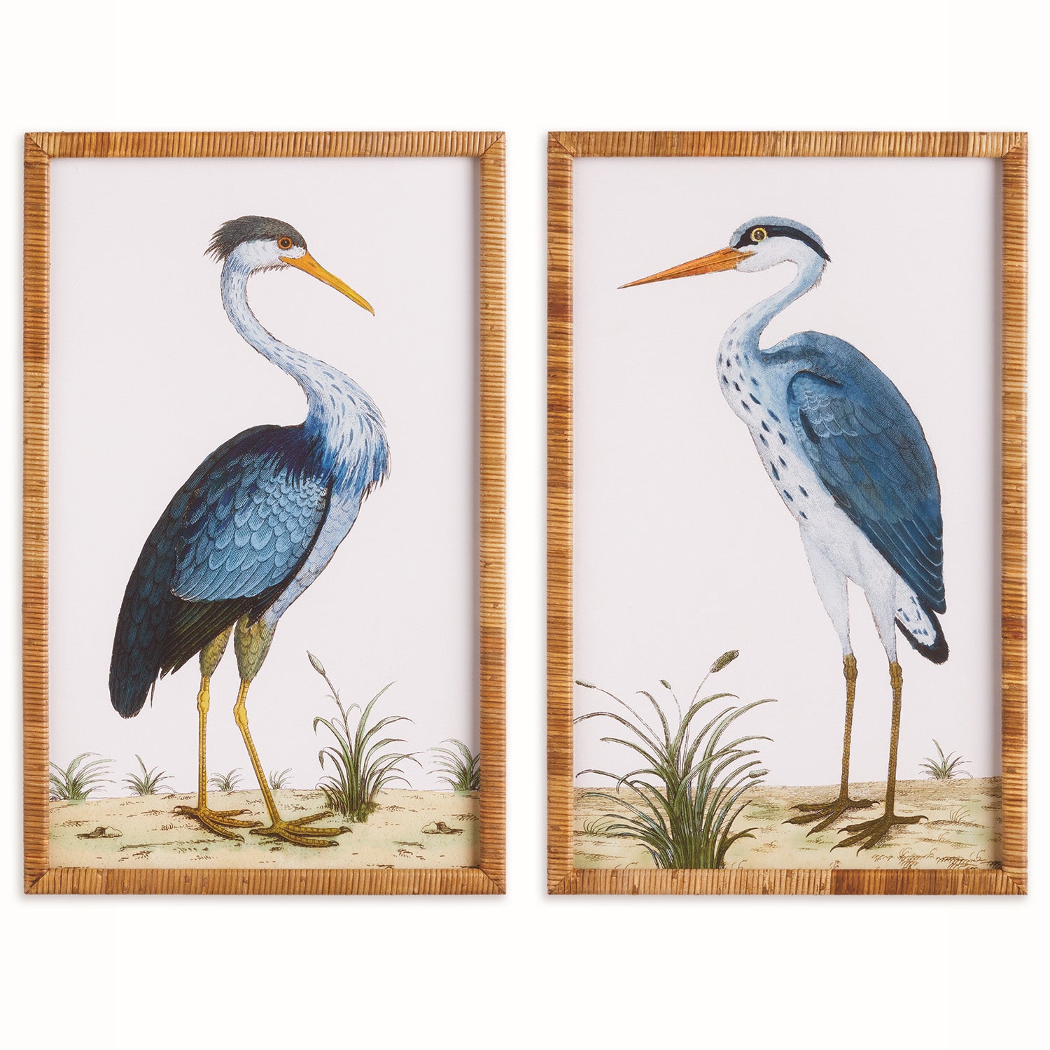 Handsome Heron Pair Framed Print Set of 2