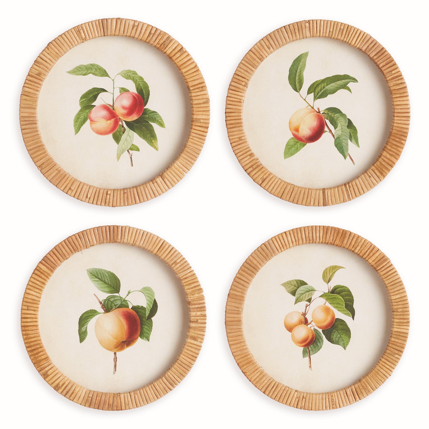 Peach Cuttings Round Petite Framed Print Set of 4