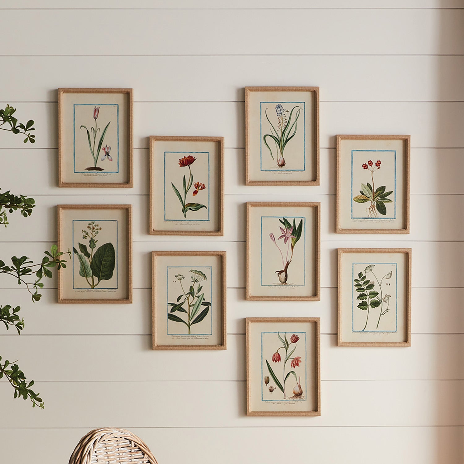 Dainty Flora & Fauna Study Framed Wall Art Set of 9