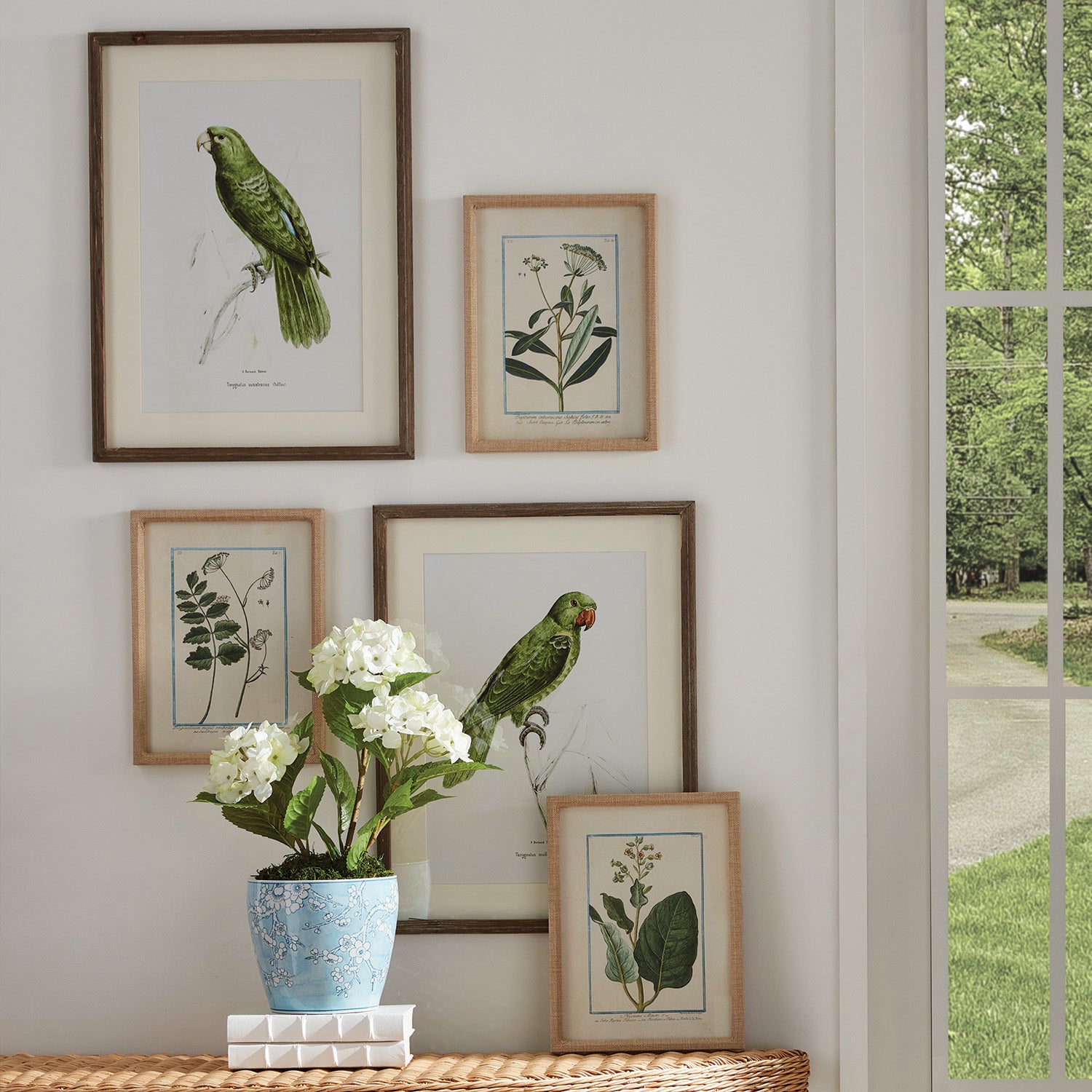 Dainty Flora & Fauna Study Framed Wall Art Set of 9