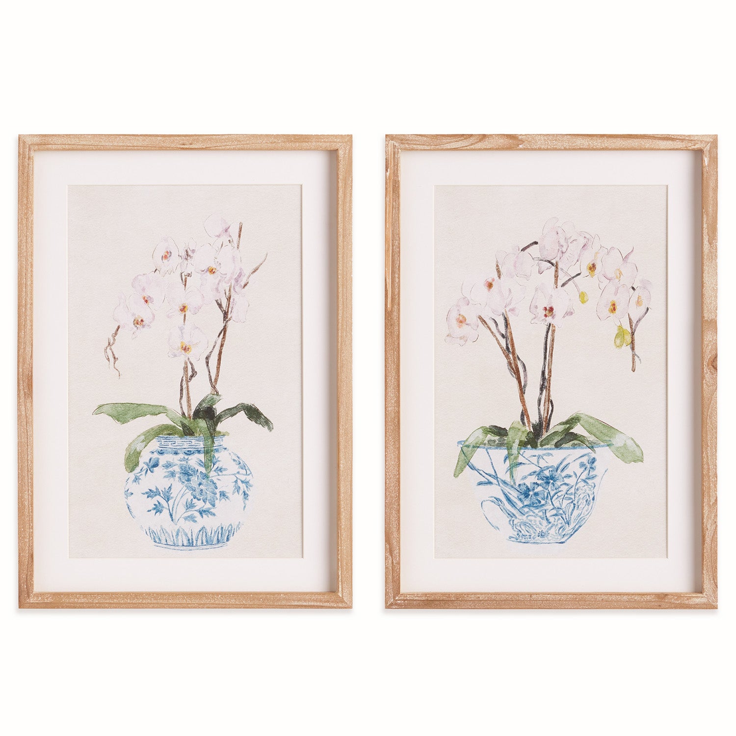 Potted Phalaenopsis Framed Print Set of 2