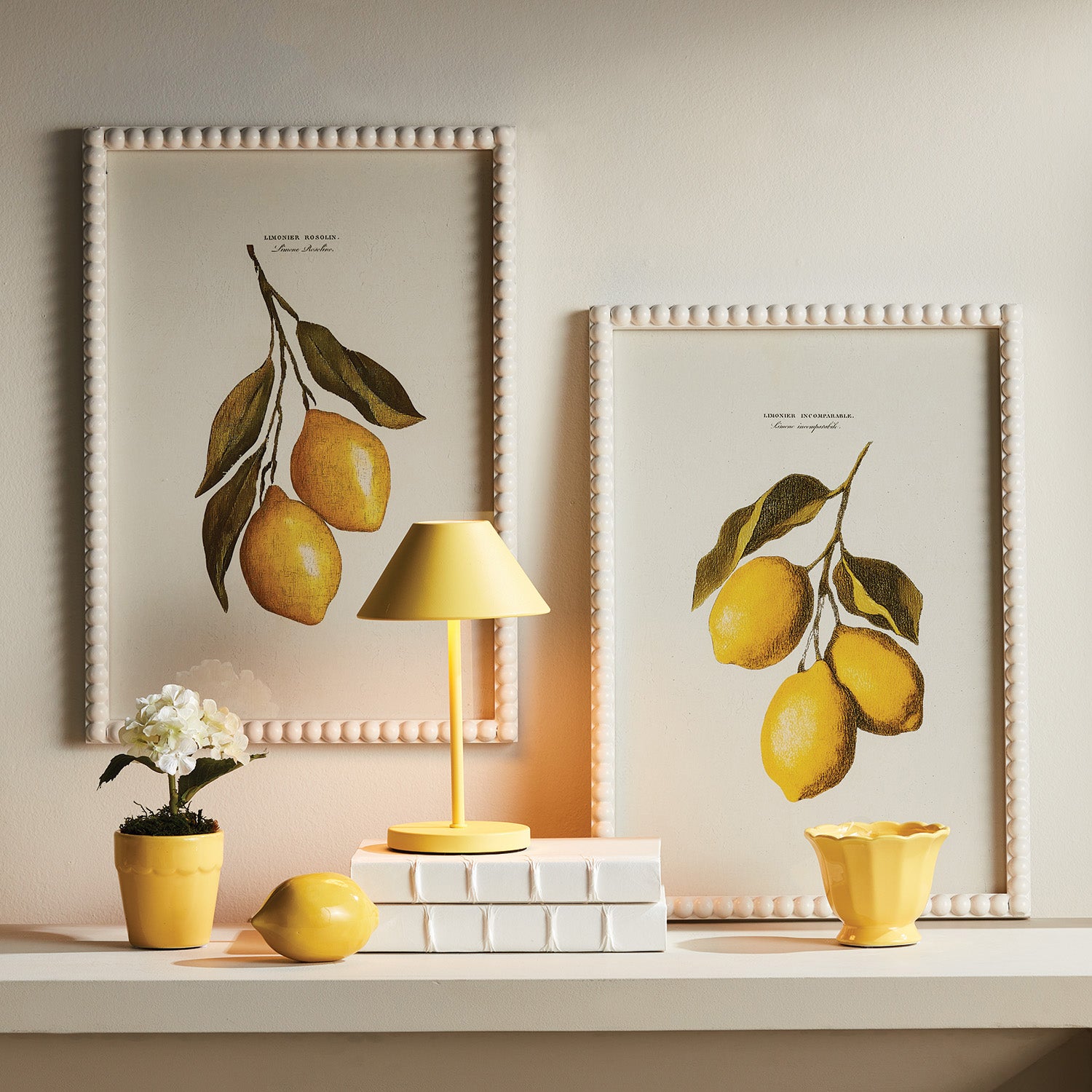 Lemon Cuttings Study Framed Art Set of 3